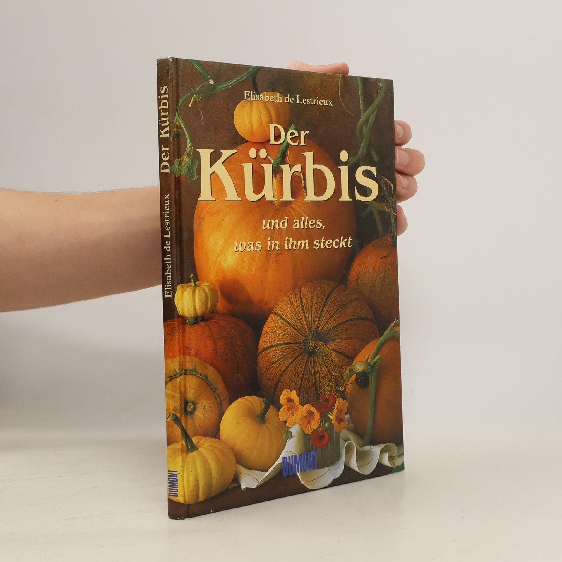 Elisabeth de Lestrieux Der Kürbis und alles, was in ihm steckt
