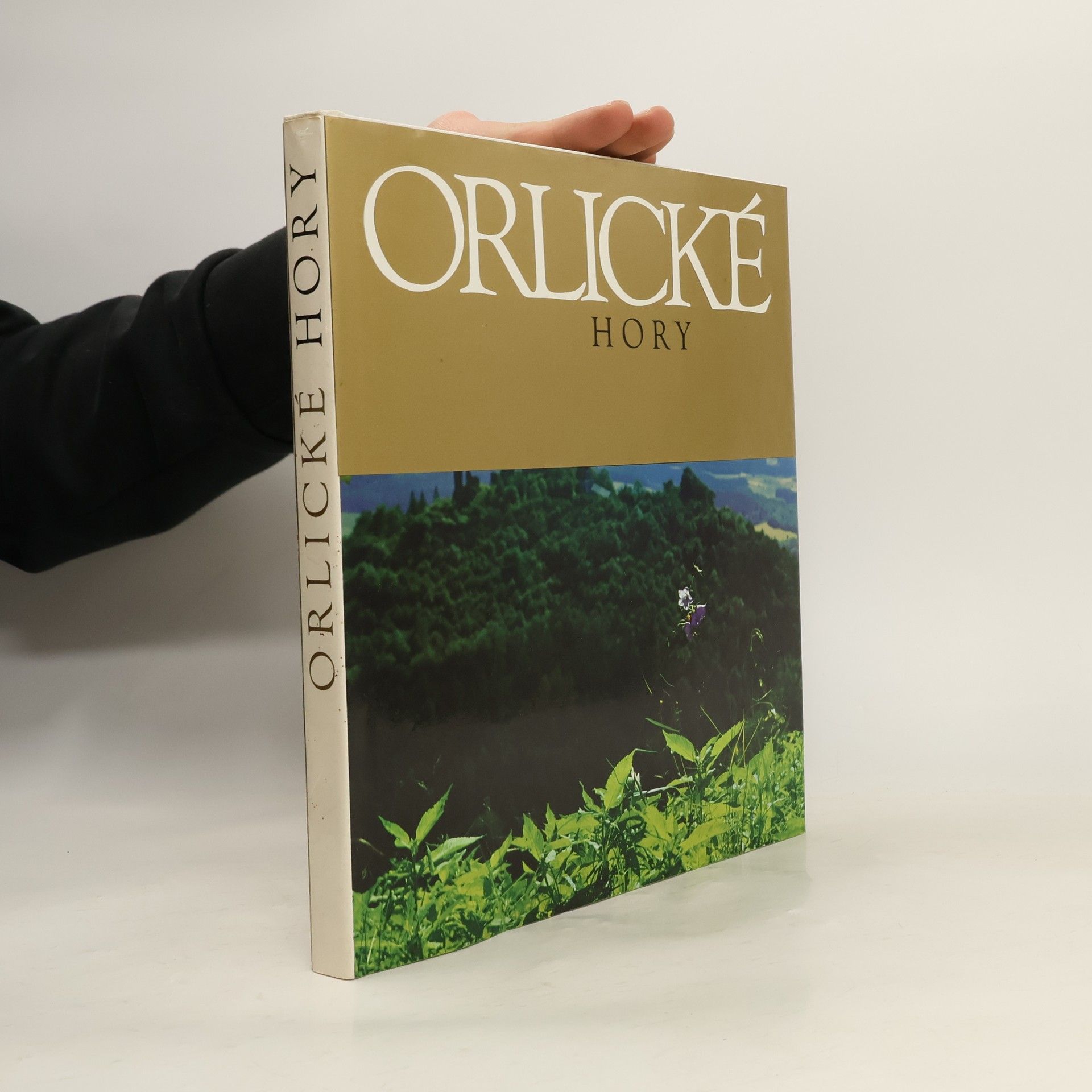 Karel Michal Orlické hory