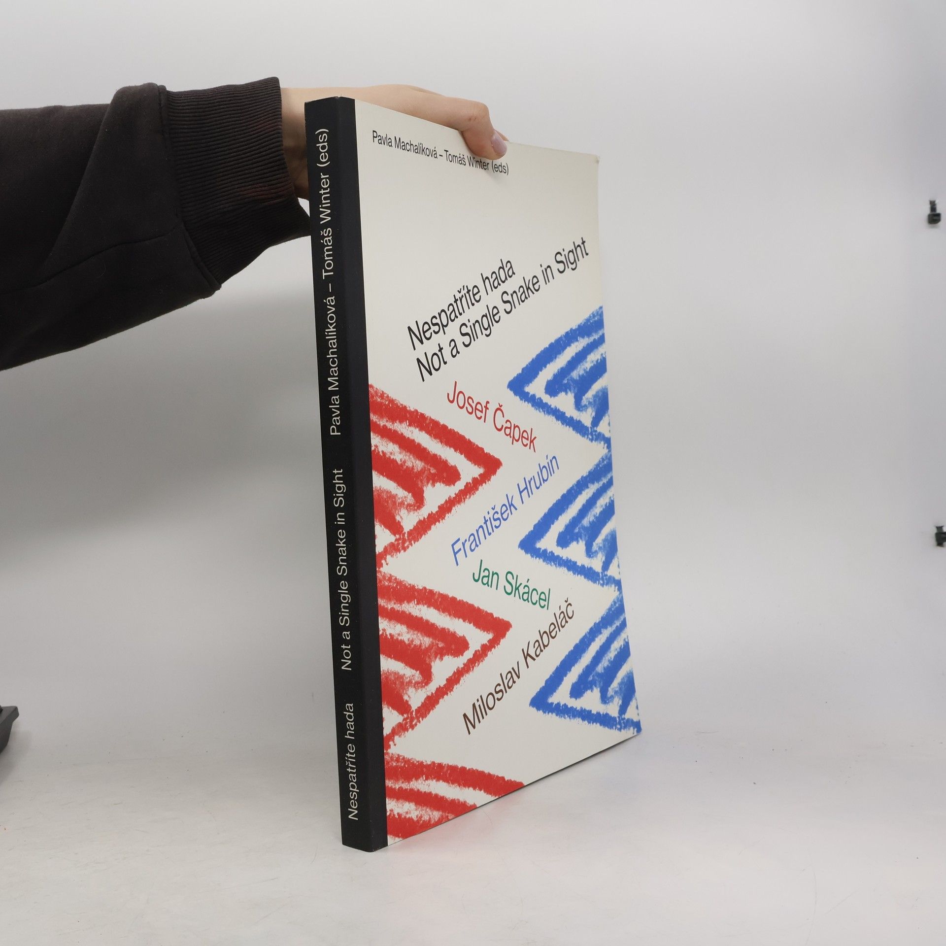 Pavla Machalíková Nespatříte hada = Not a single snake in sight : Josef Čapek, František Hrubín, Jan Skácel, Miloslav Kabeláč