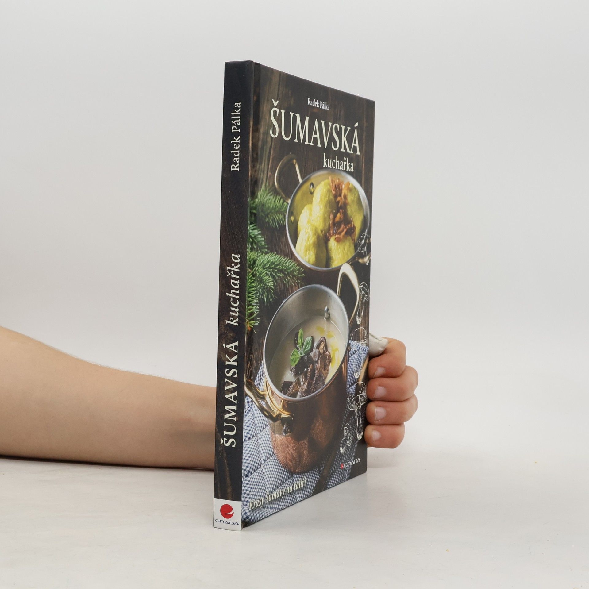 Radek Pálka Šumavská kuchařka: krásy Šumavy na talíři