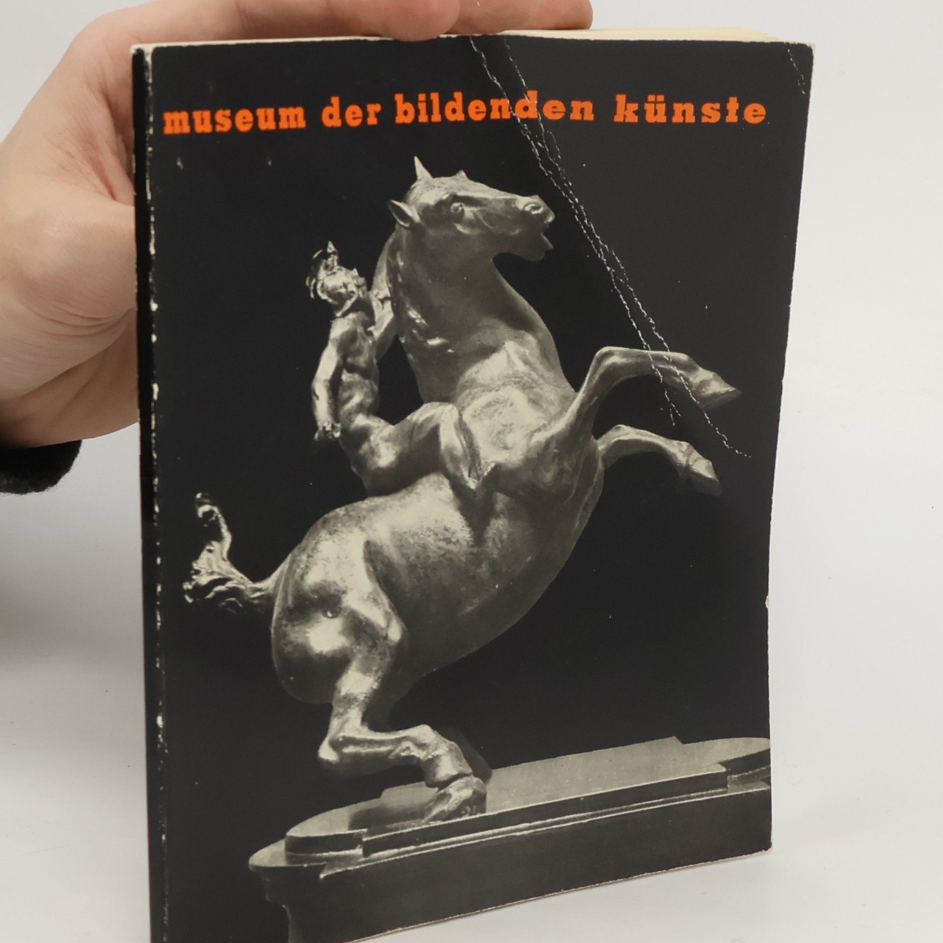 Autorenkollektiv Führer durch die Sammlungen des Museums der Bildenden Künste