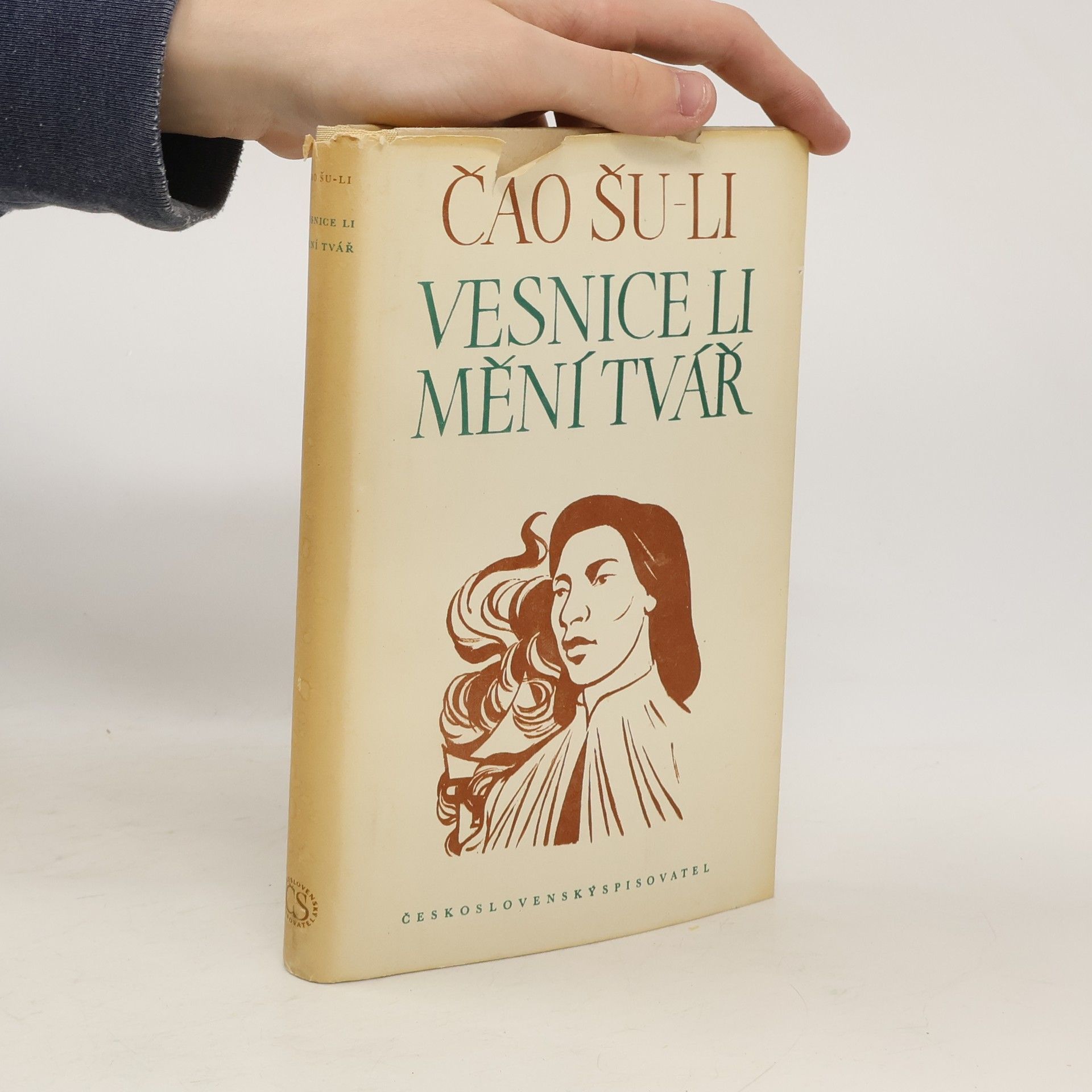 Shuli Zhao Vesnice Li mění tvář