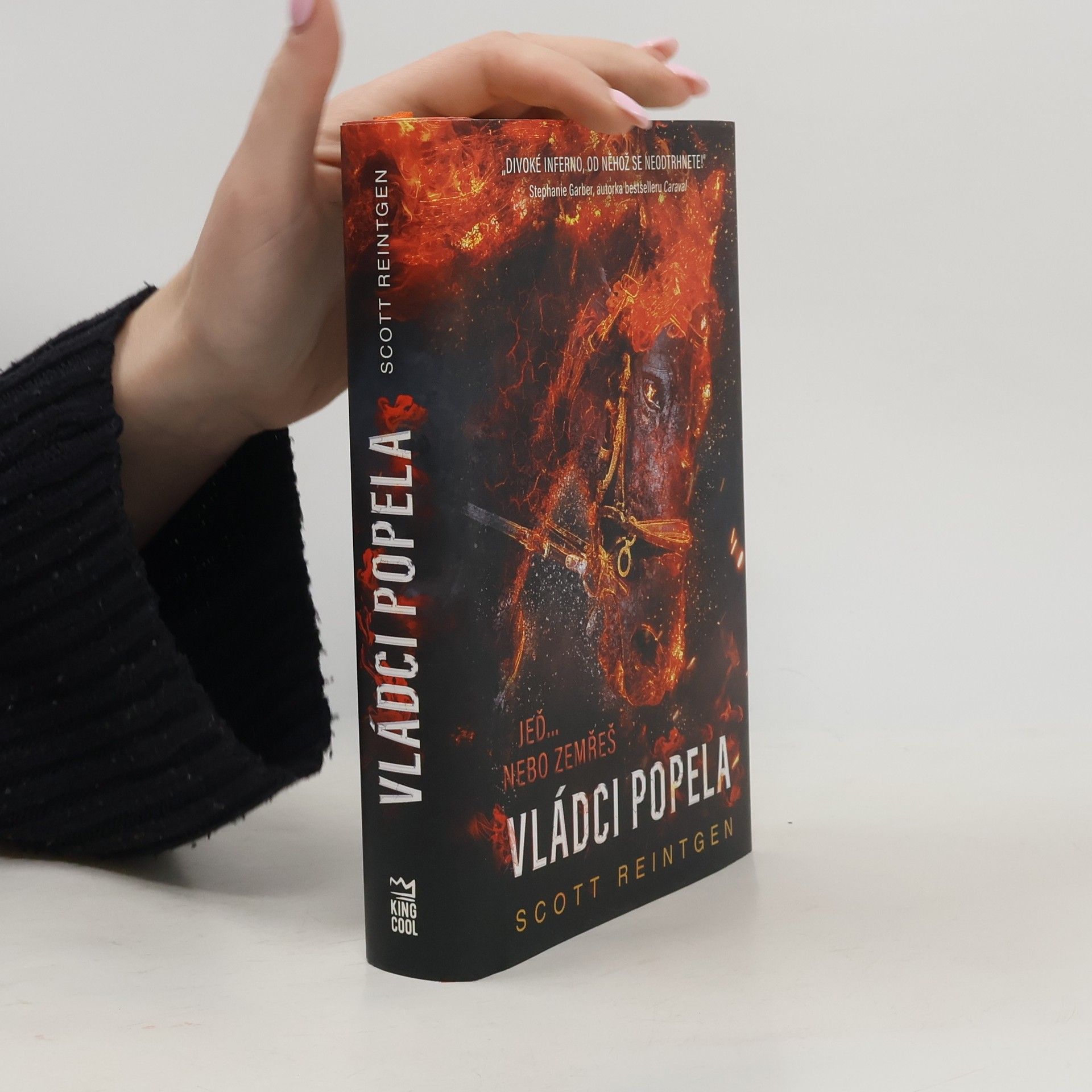 Scott Reintgen Vládci popela