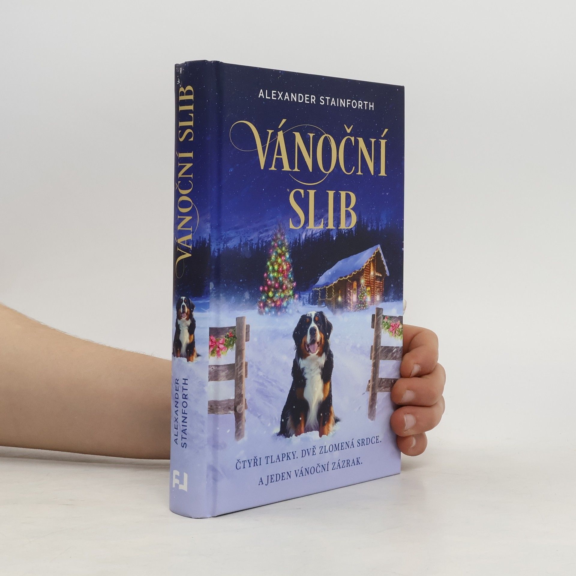 Alexander Stainforth Vánoční slib