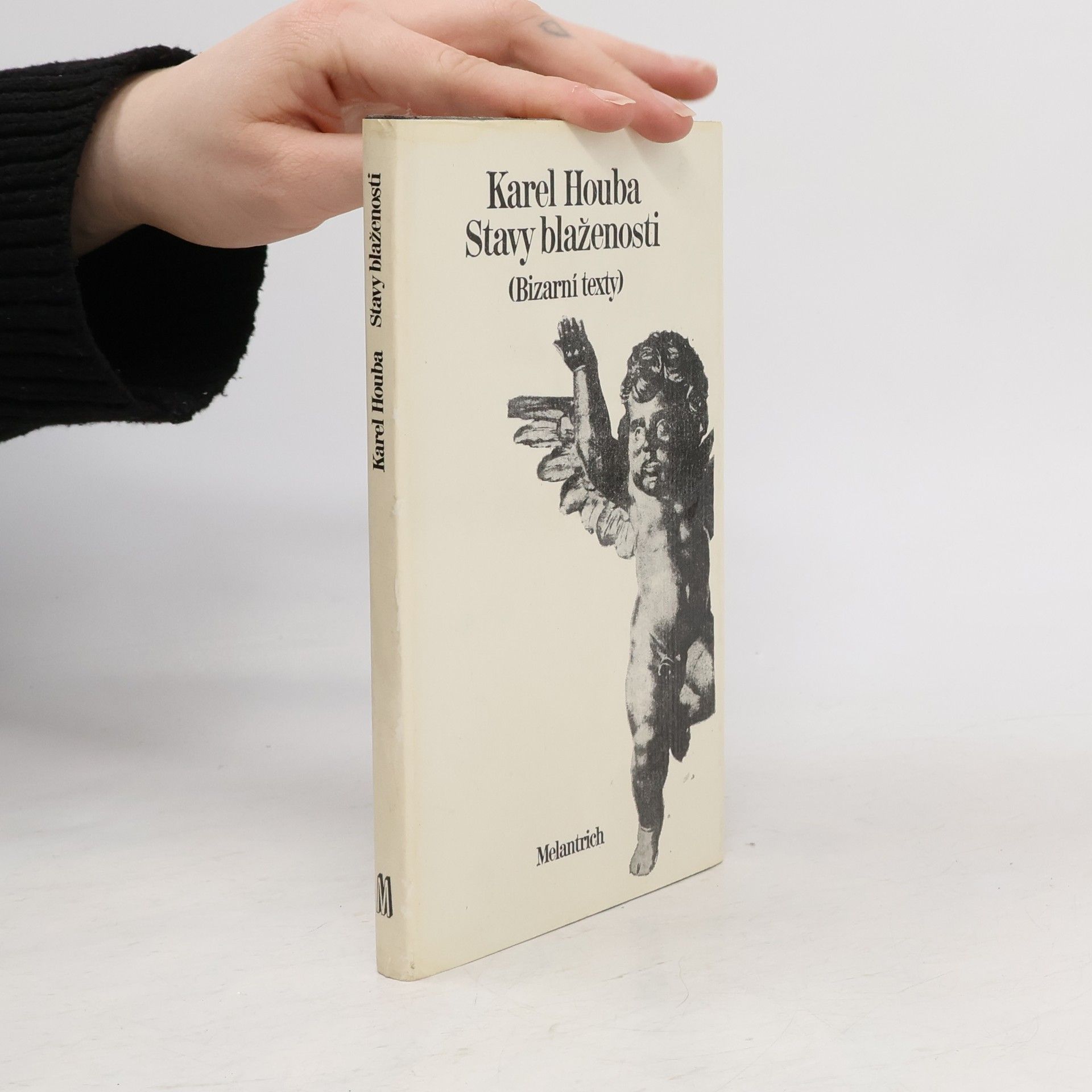 Karel Houba Stavy blaženosti
