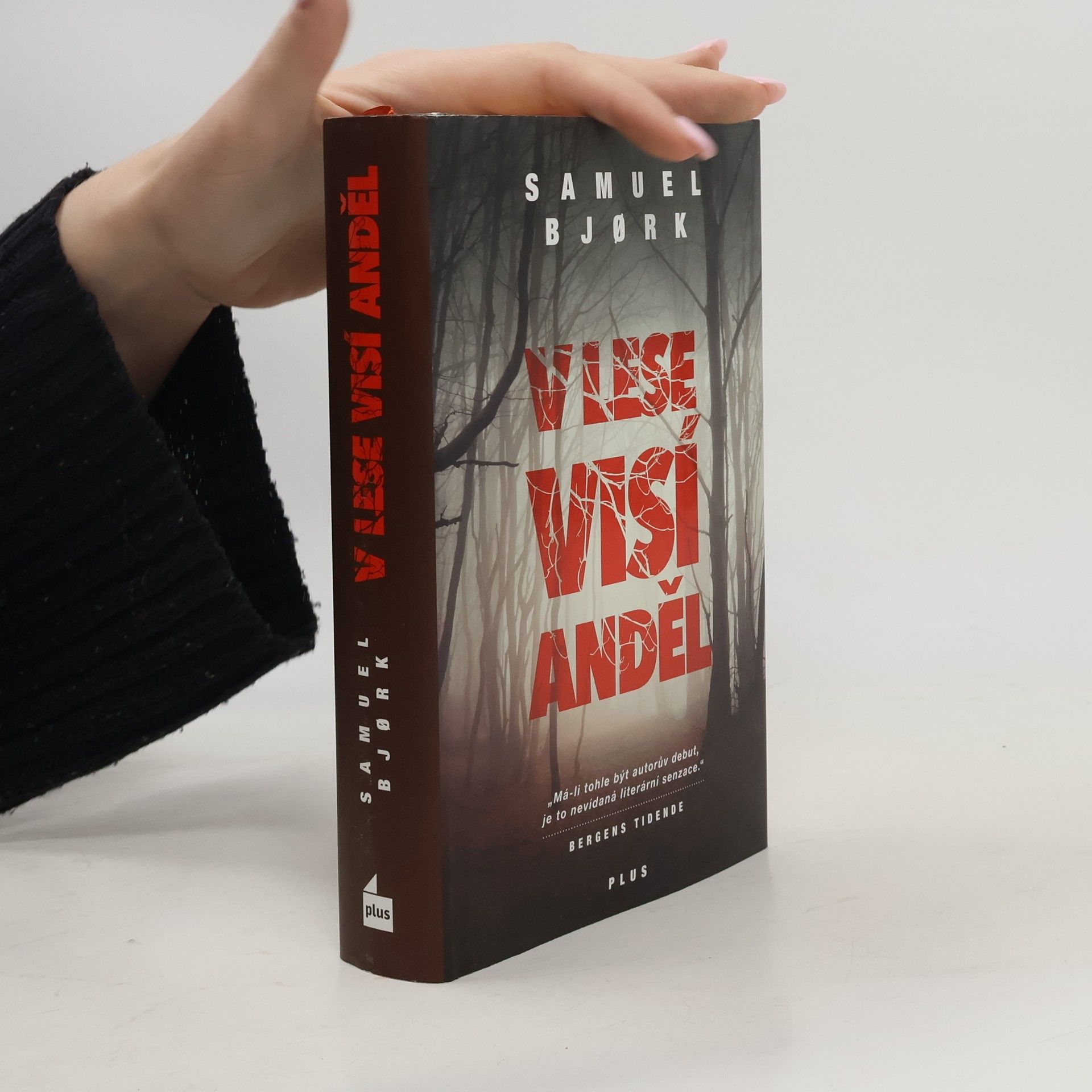 Samuel Bjork V lese visí anděl