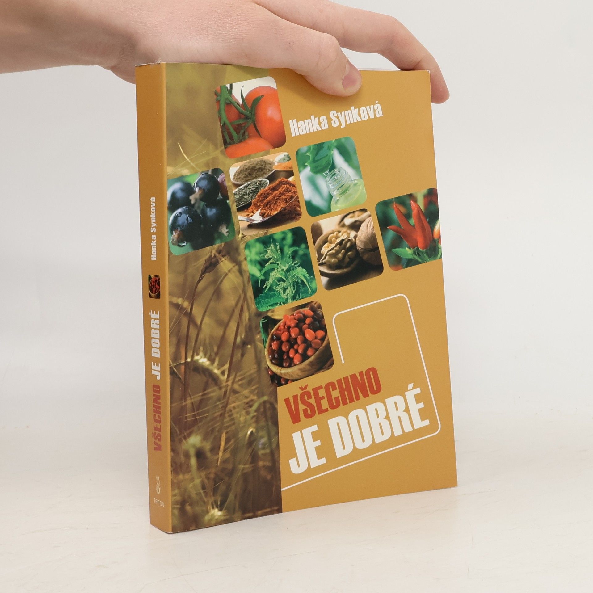 Hana Synková Všechno je dobré