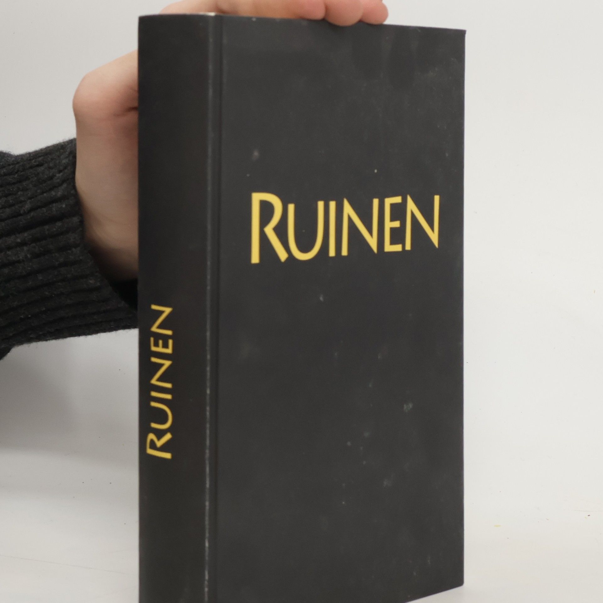 Kevin J. Anderson Akte X - die unheimlichen Fälle des FBI. Ruinen