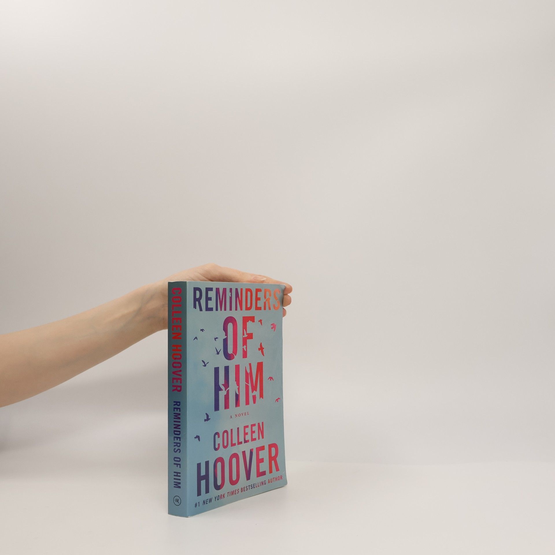 Colleen Hoover Reminders of him