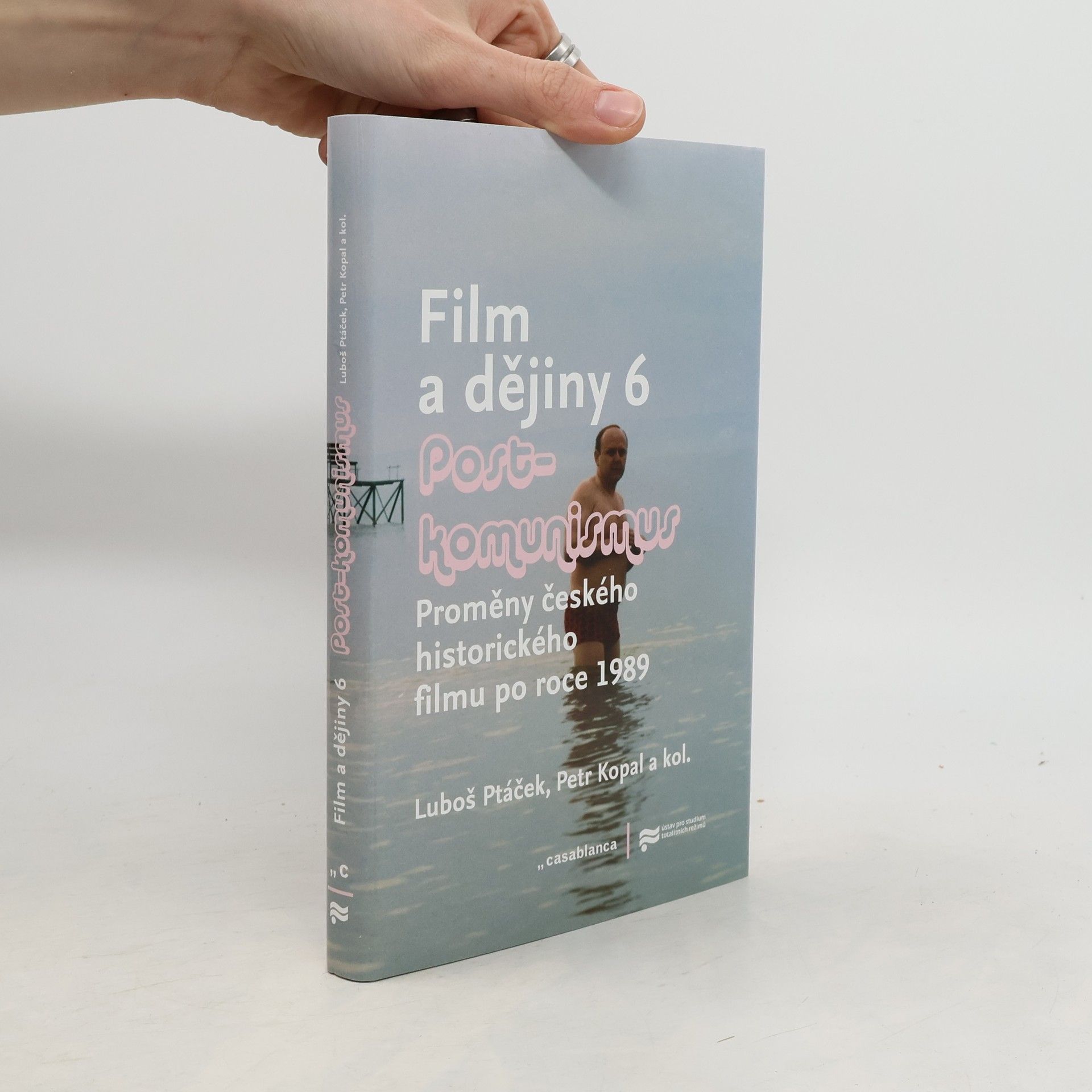 Film a dějiny. 6, Post-komunismus : proměny českého historického filmu po roce 1989