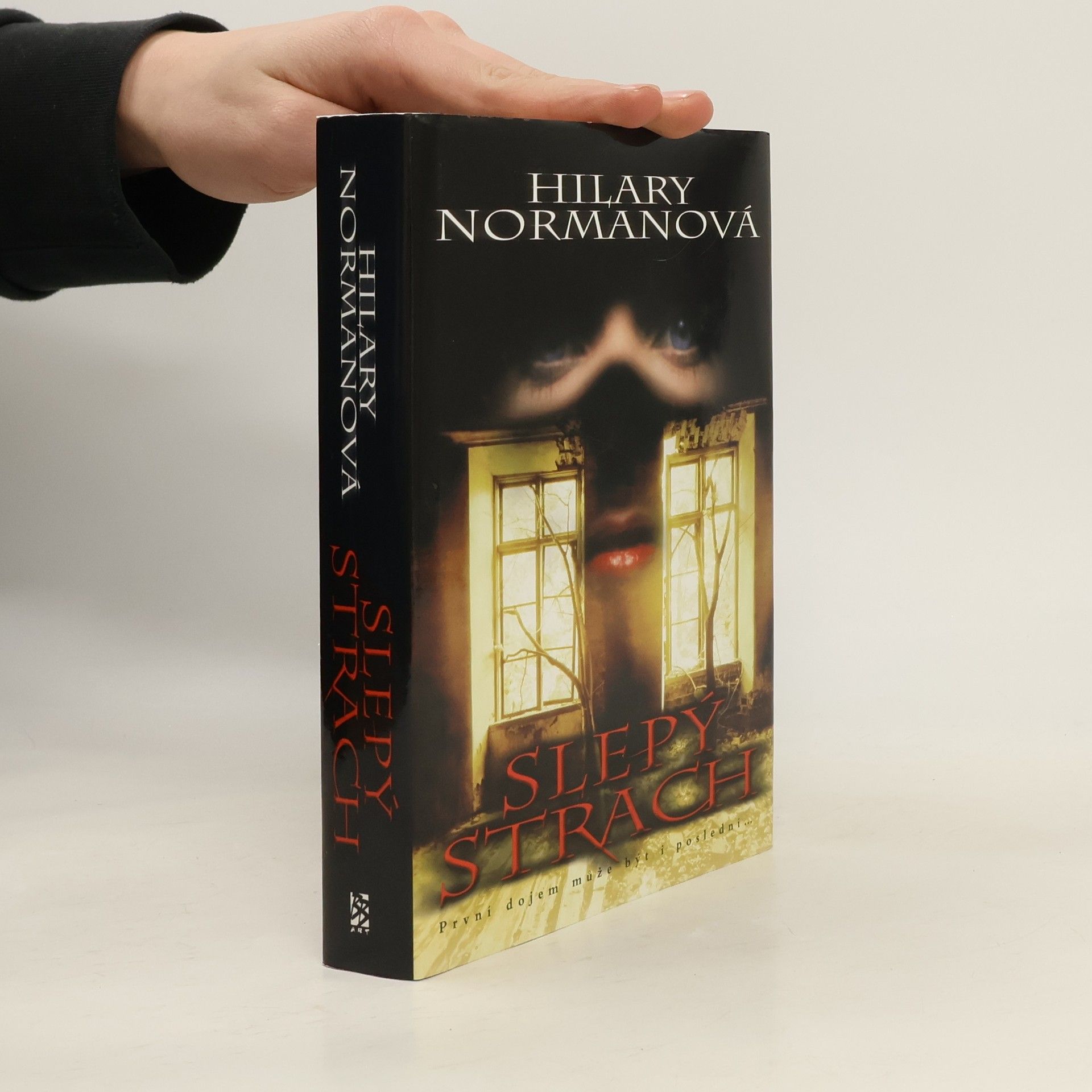 Hilary Norman Slepý strach