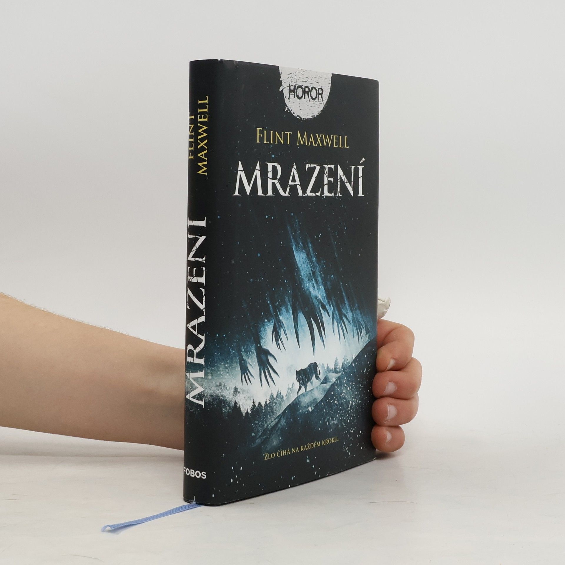 Flint Maxwell Mrazení