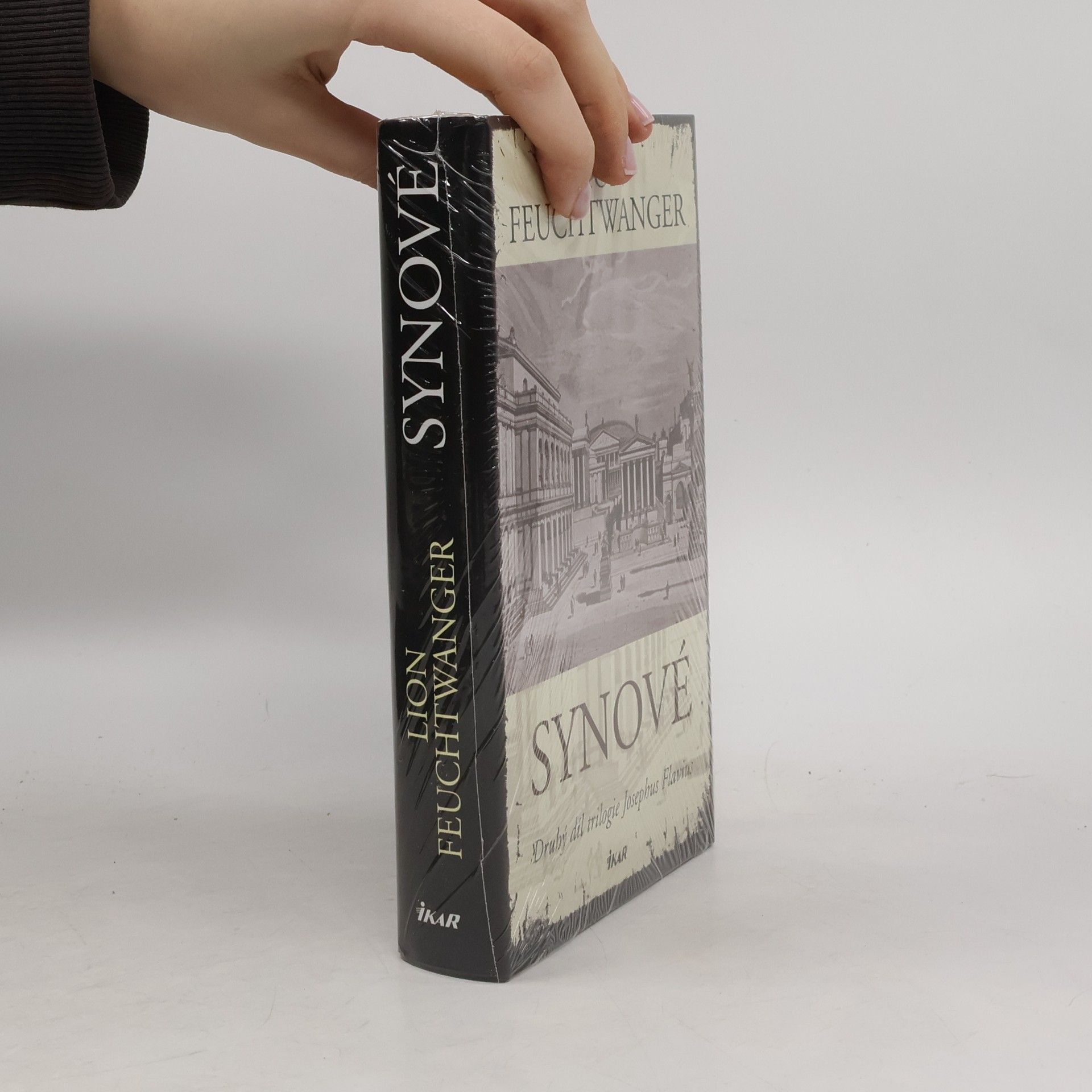 Lion Feuchtwanger Synové : druhý díl trilogie Josephus Flavius