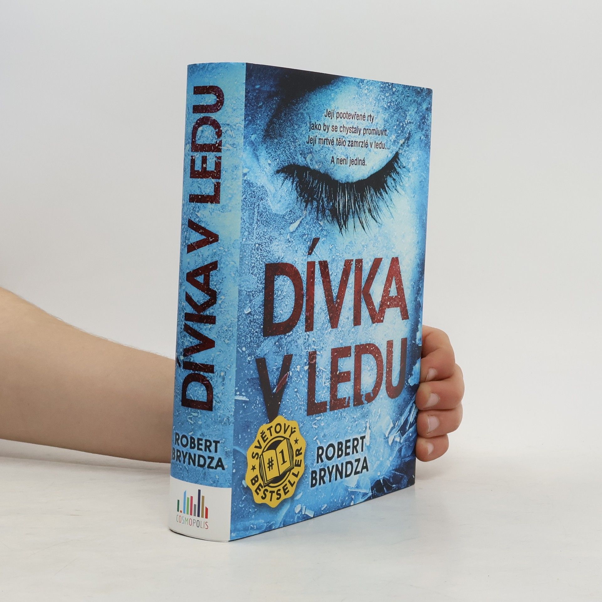 Robert Bryndza Dívka v ledu