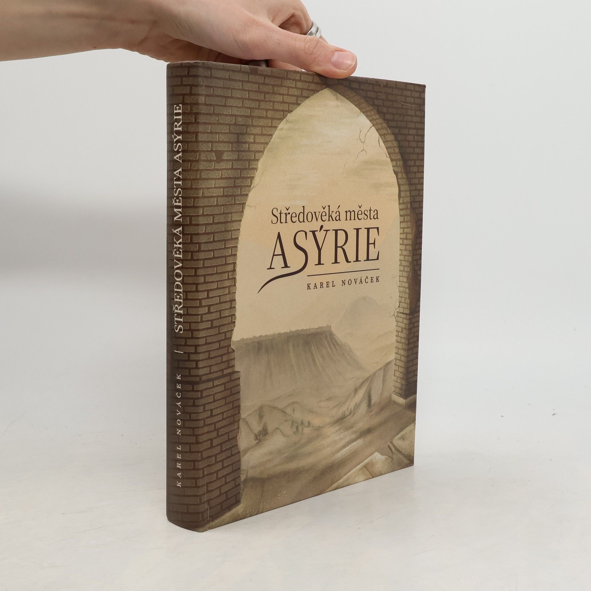 Karel Nováček Středověká města Asýrie