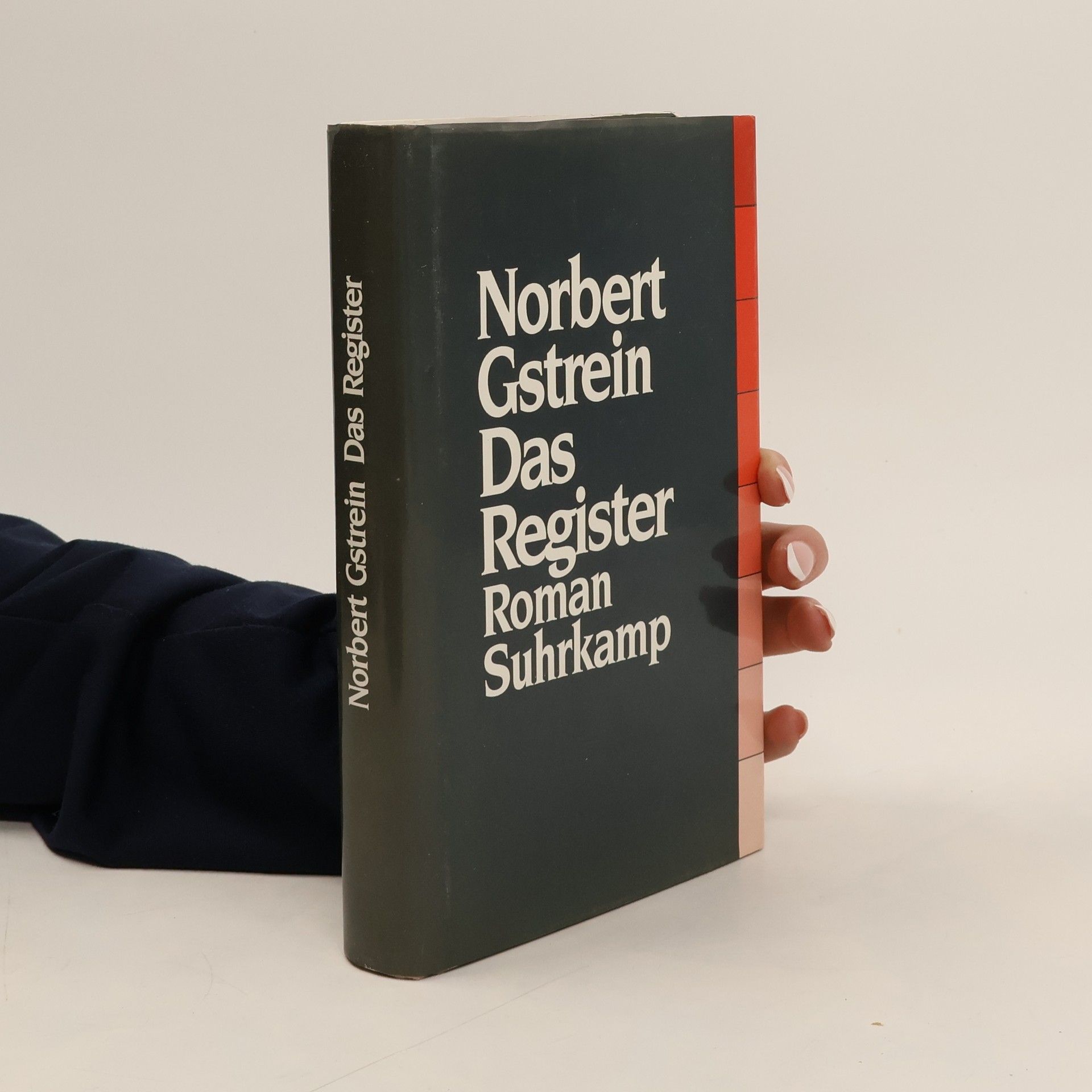 Norbert Gstrein Das Register