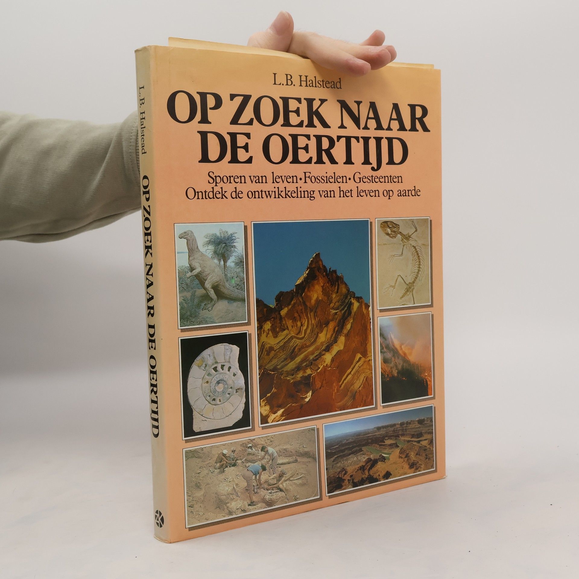 Op zoek naar de oertijd