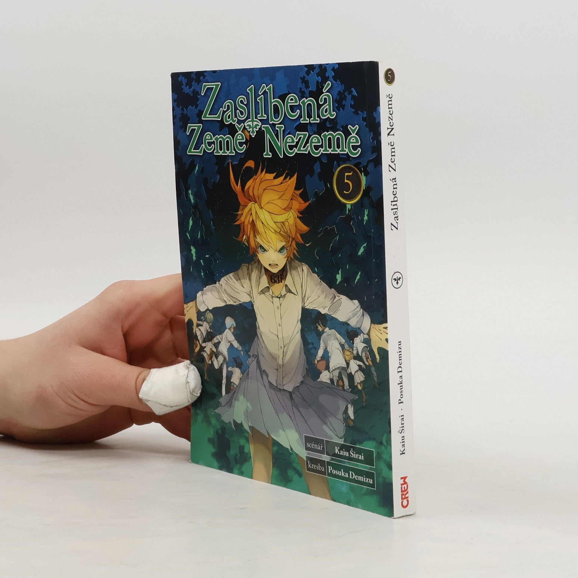 Kaiu Shirai Zaslíbená Země Nezemě 5