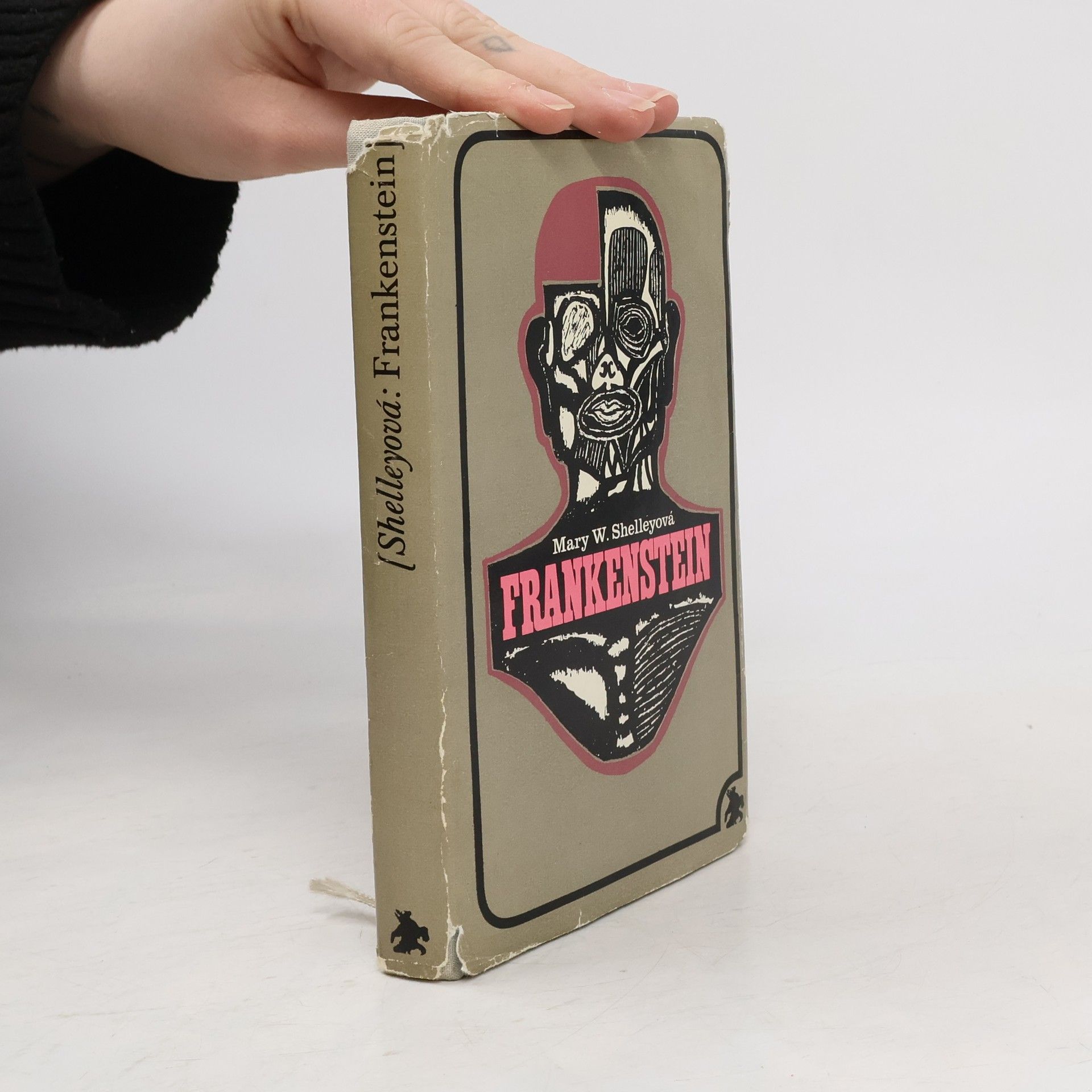 Mary Shelley Frankenstein