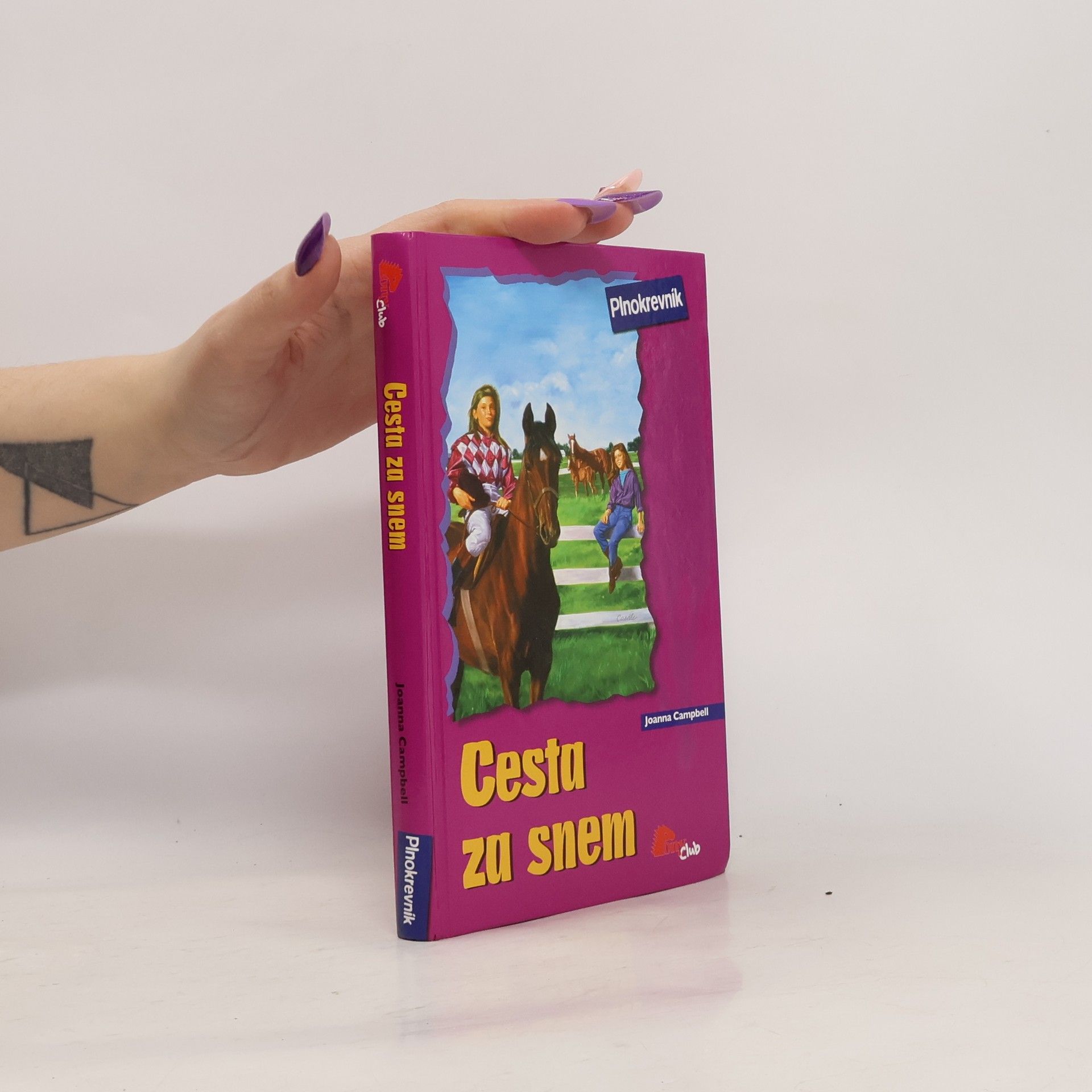 Jo Ann Simon Cesta za snem