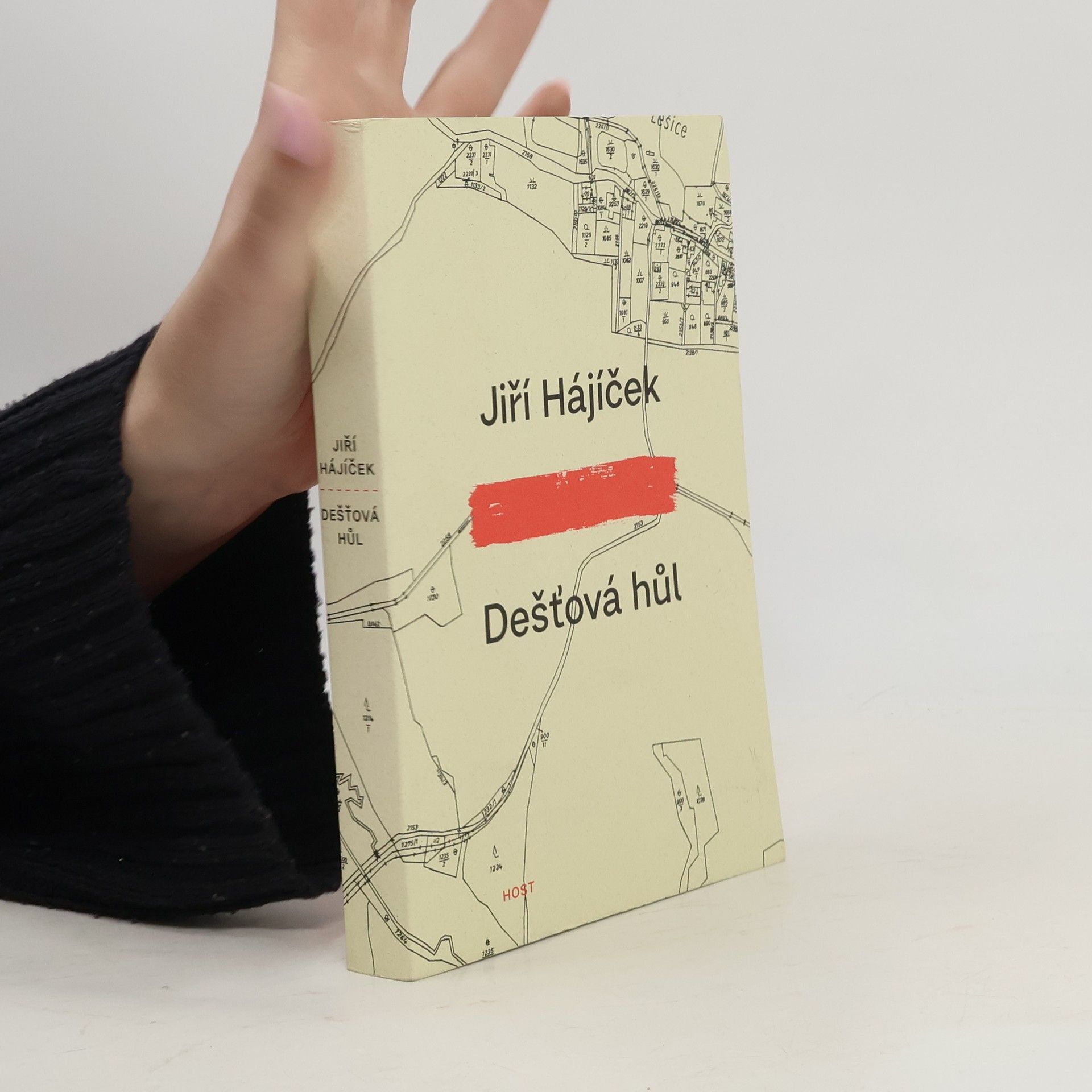 Jiří Hájíček Dešťová hůl