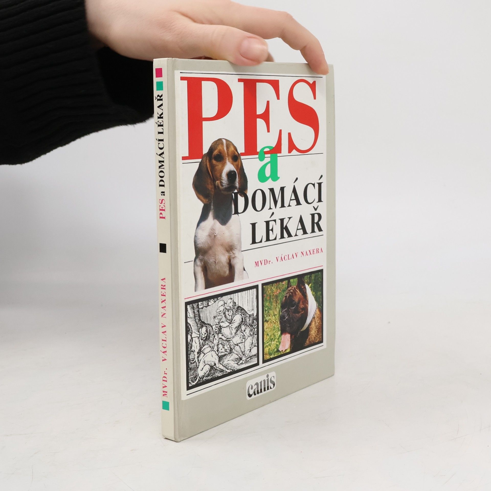 Pes a domácí lékař