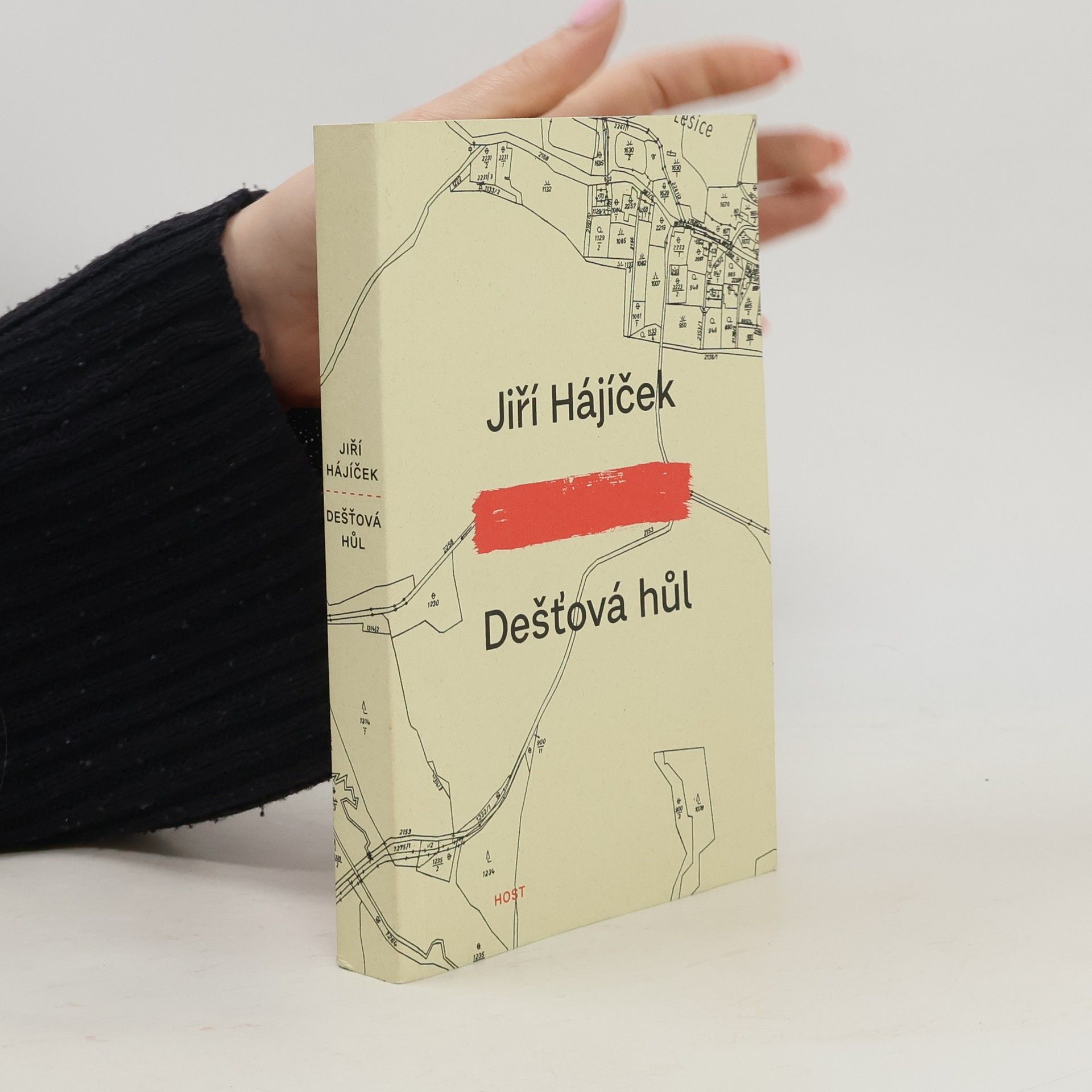 Jiří Hájíček Dešťová hůl