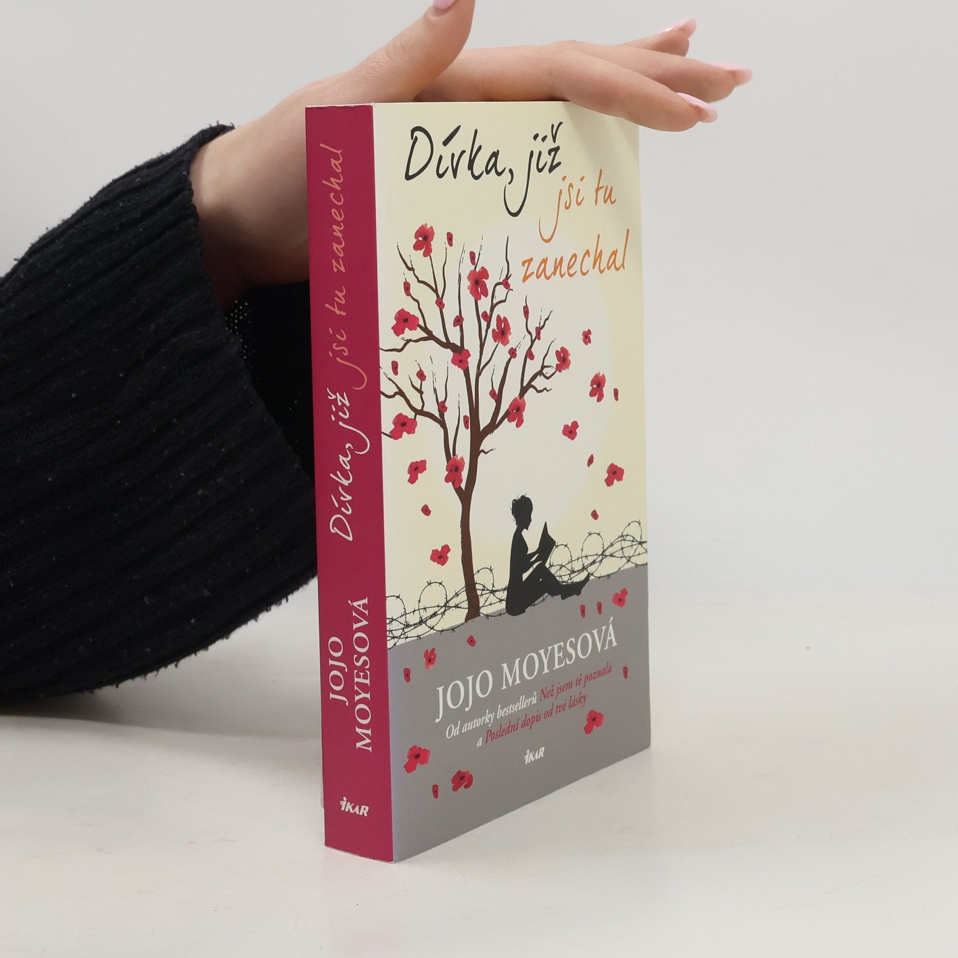 Jojo Moyes Dívka, již jsi tu zanechal