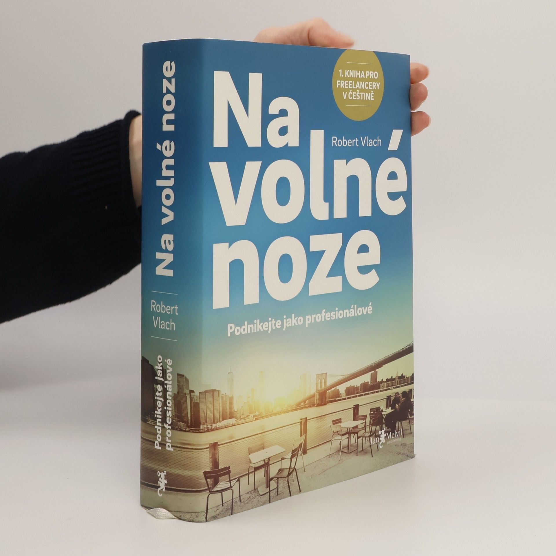 Robert Vlach Na volné noze