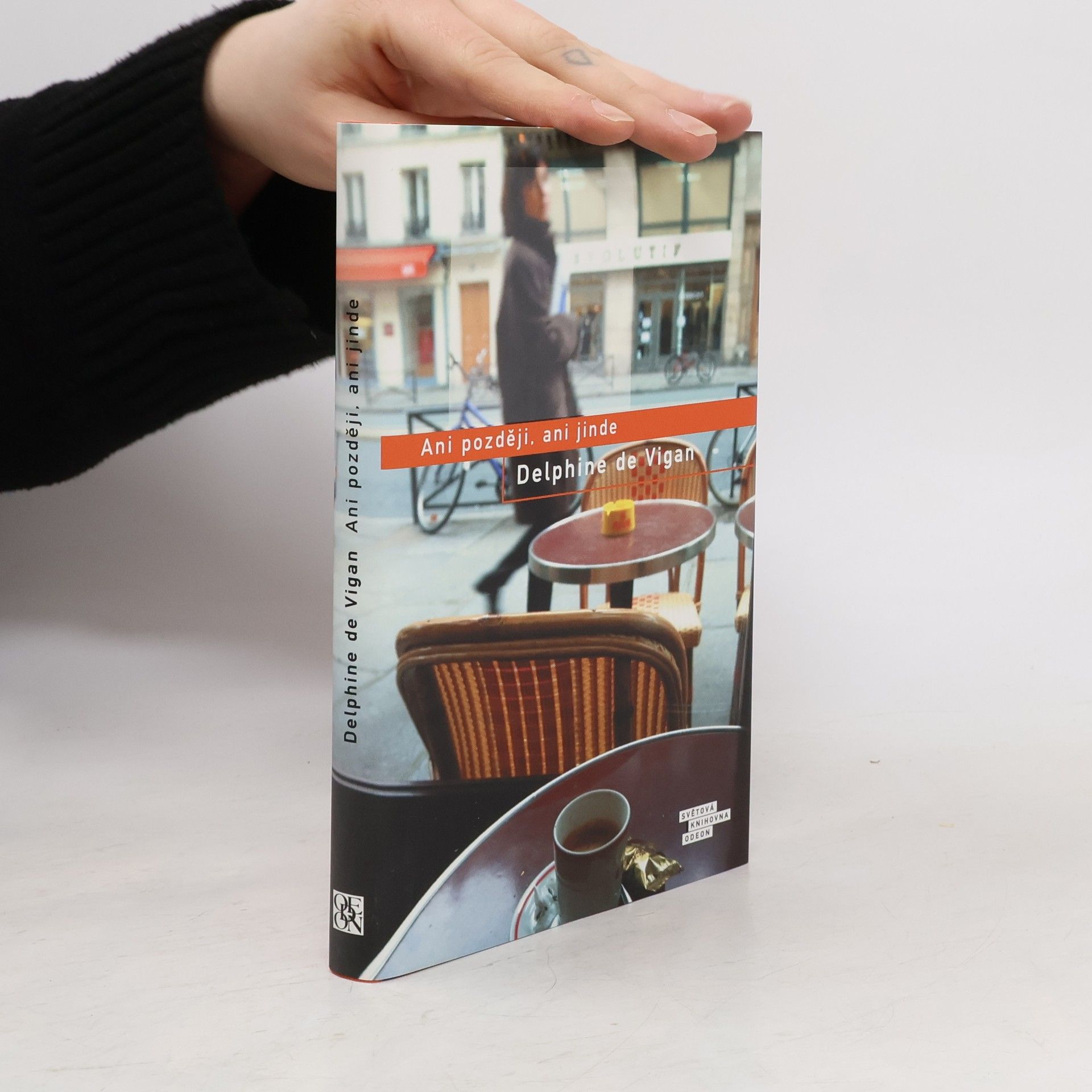 Delphine de Vigan Ani později, ani jinde