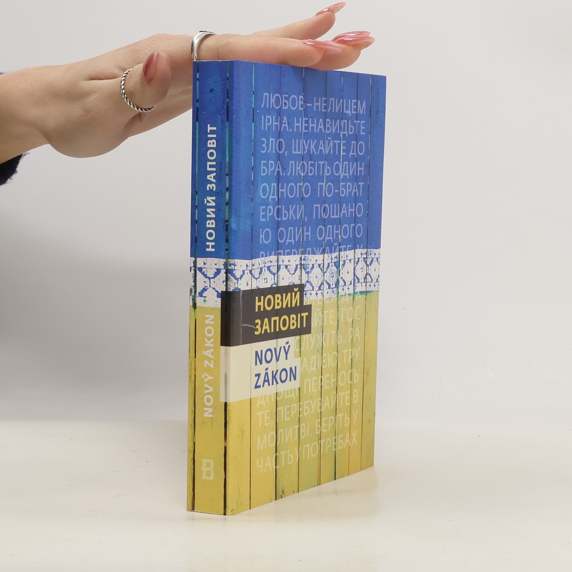 Rajmond Turkonjak Новий заповіт. Novyy zapovit. Nový zákoník