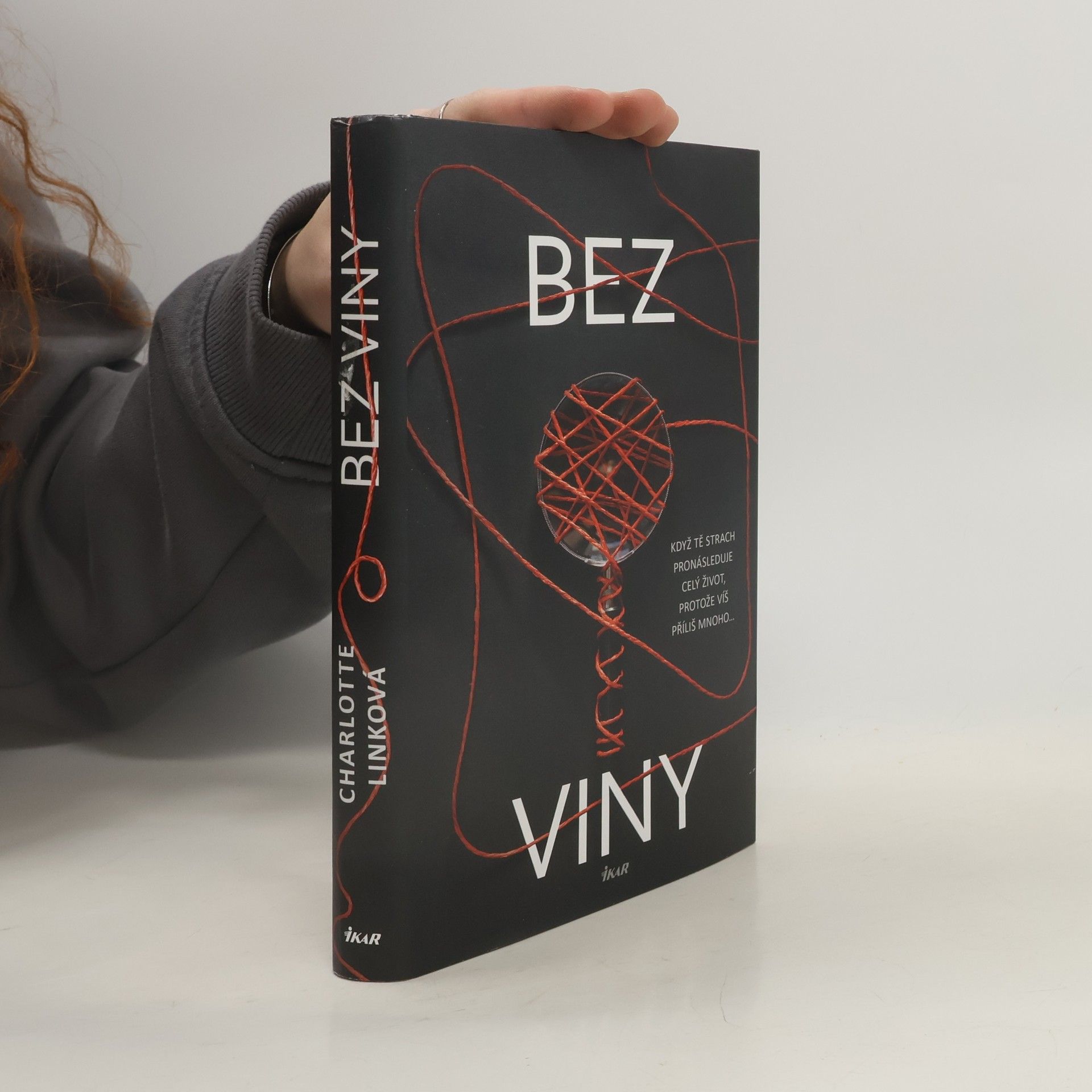 Charlotte Link Bez viny