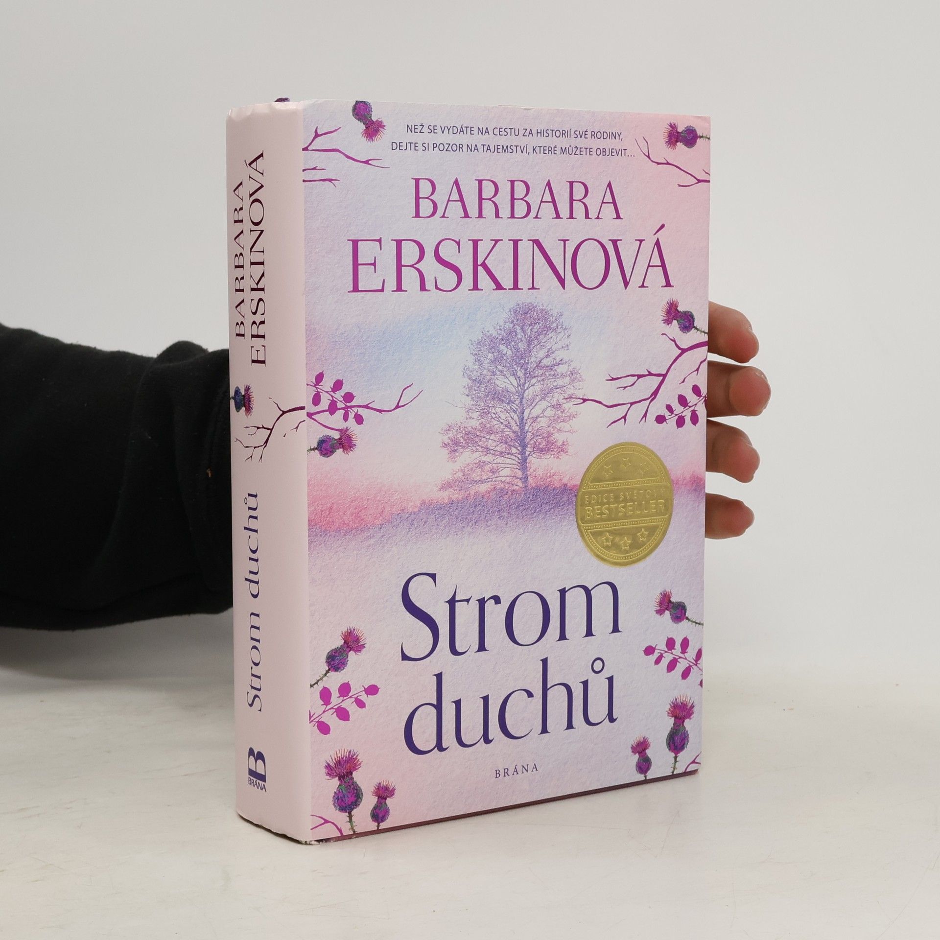 Barbara Erskine Strom duchů