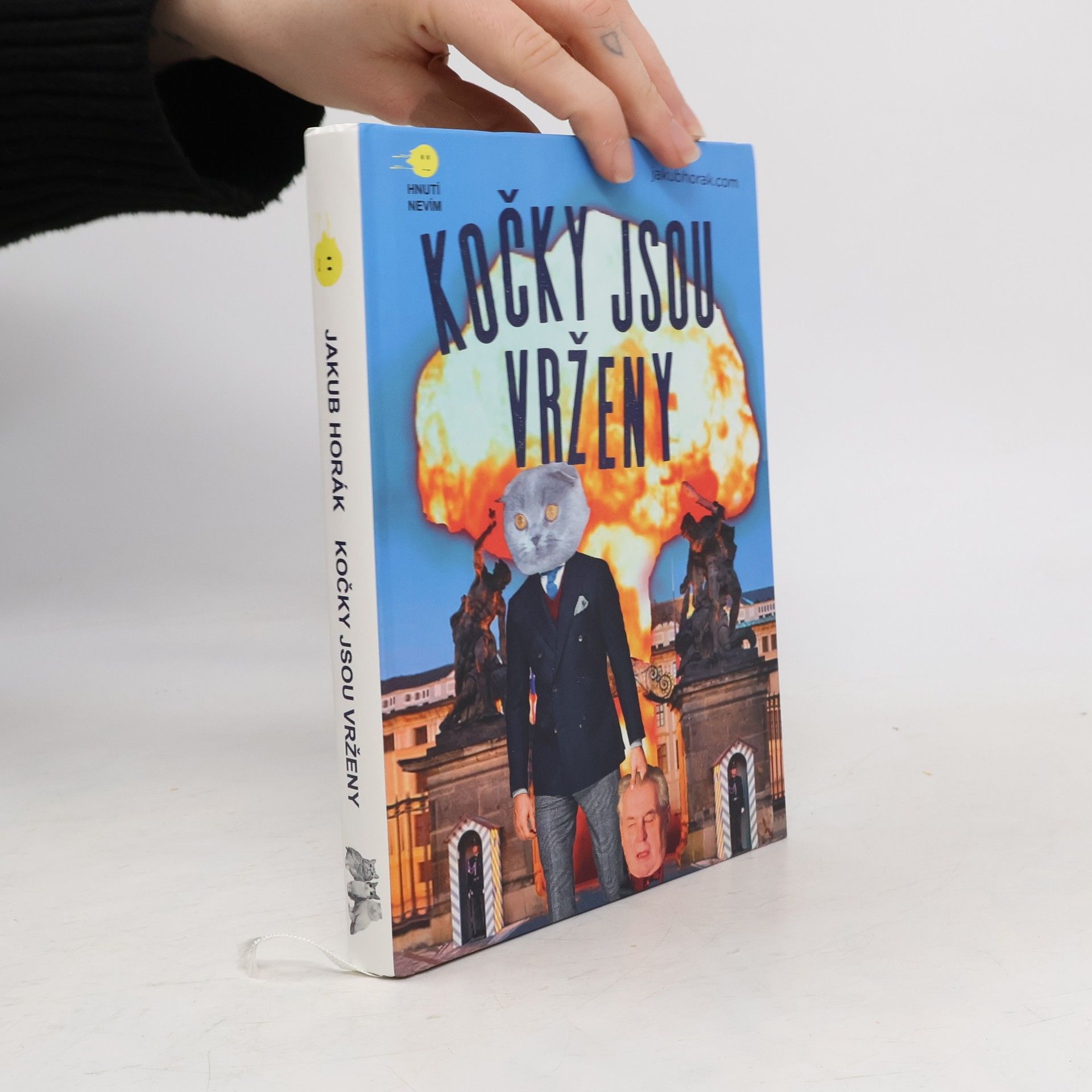 Jakub Horák Kočky jsou vrženy: Fantastický román