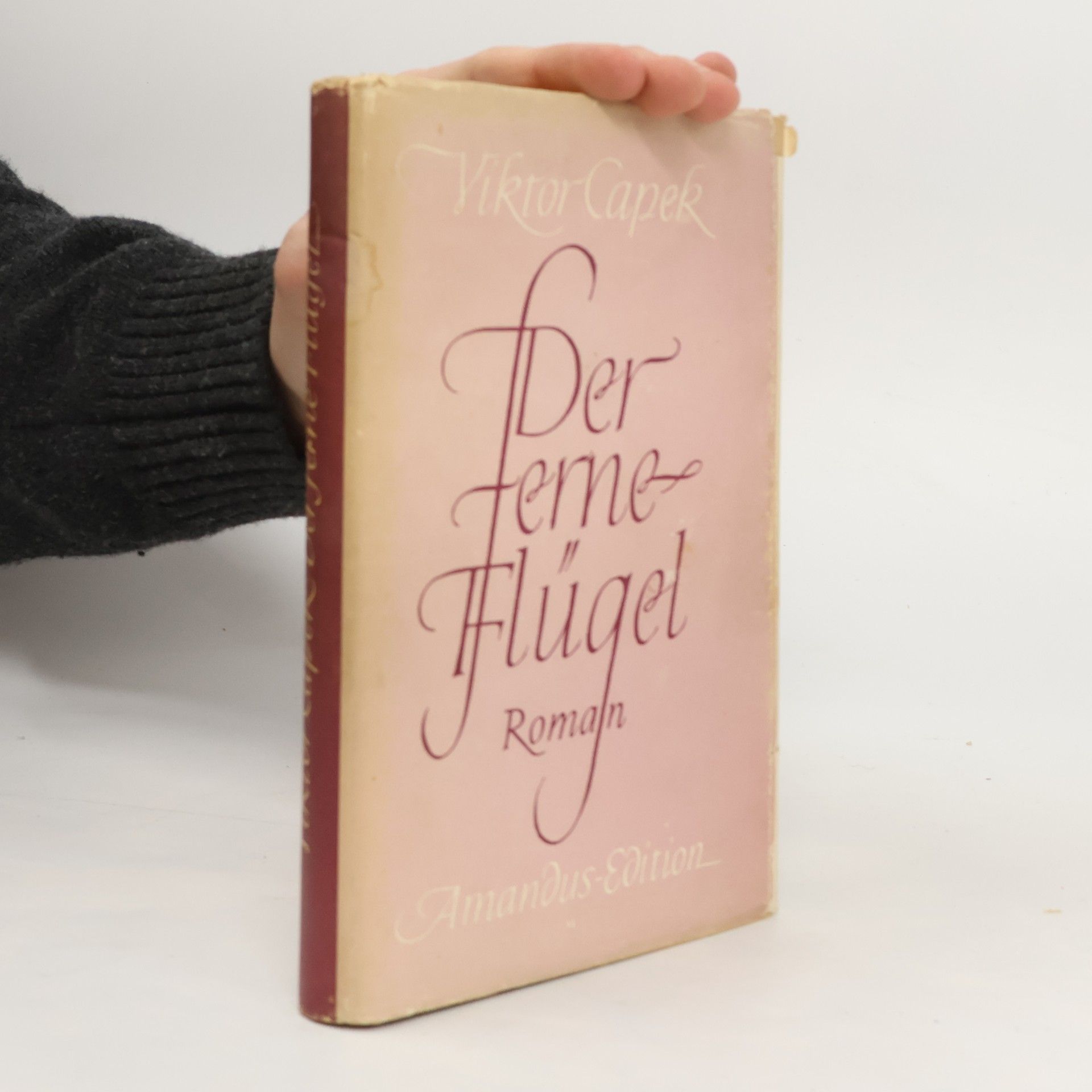 Viktor Čapek Der ferme Flügel