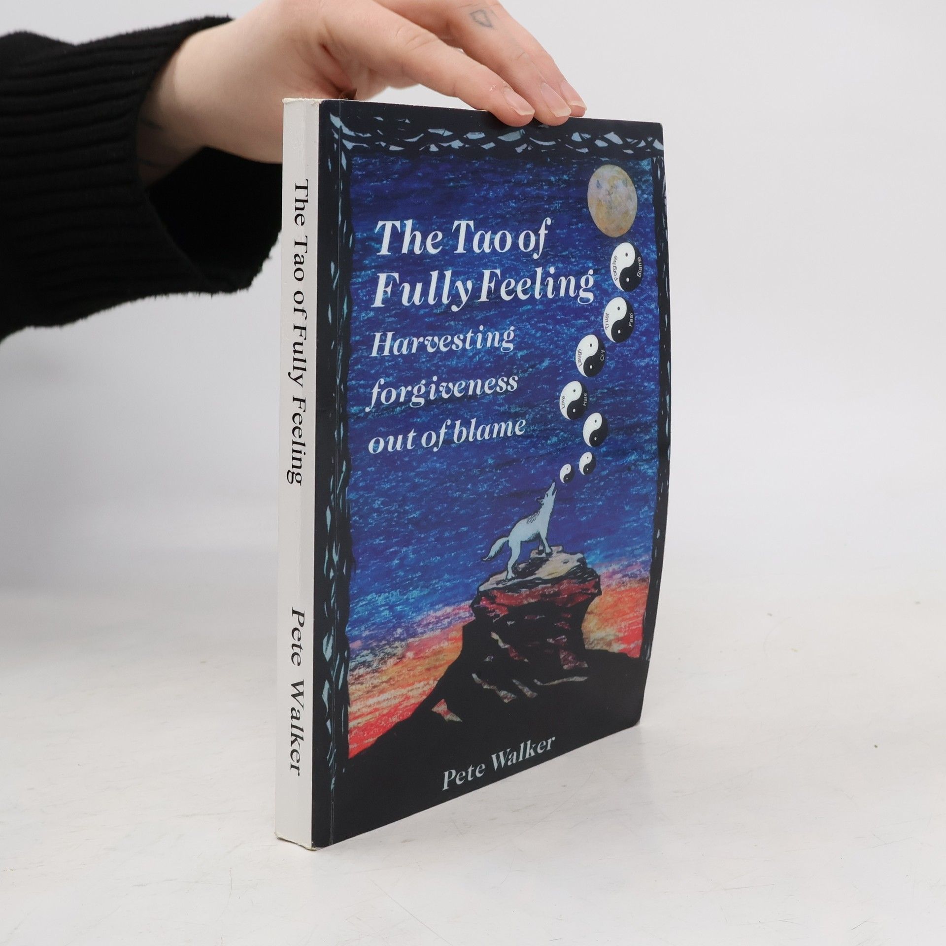 Peter Walker The Tao of Fully Feeling