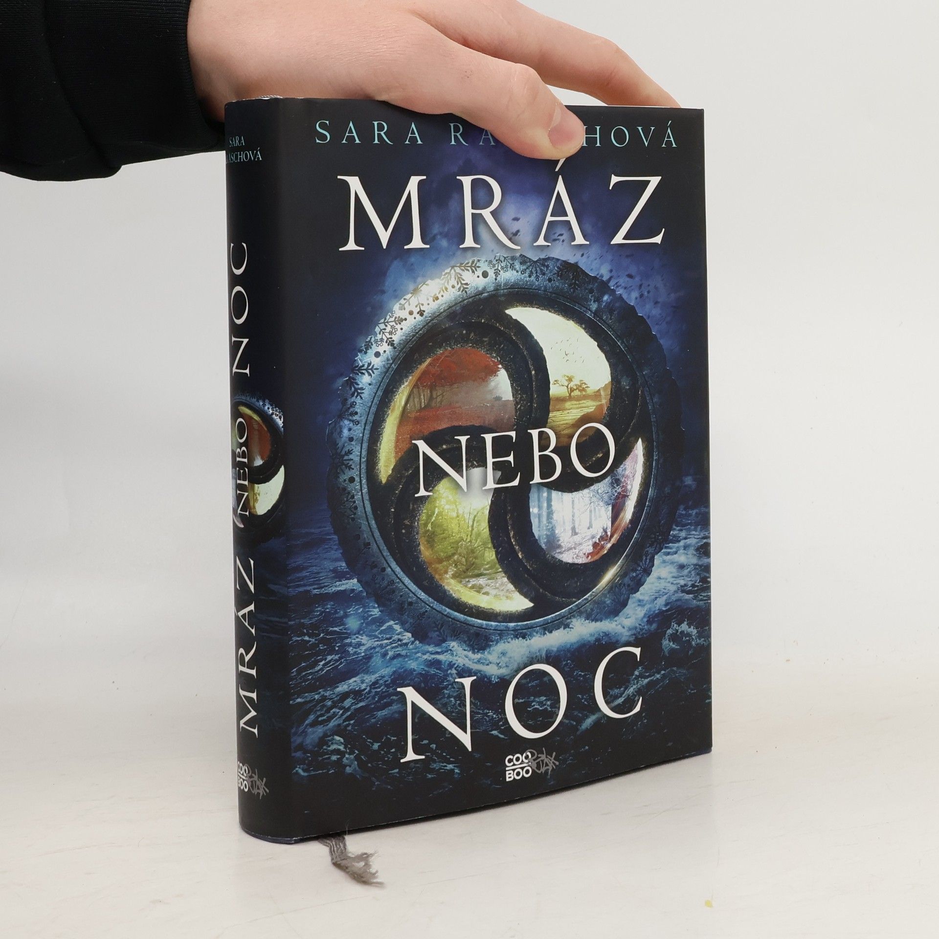 Sara Raasch Mráz nebo noc