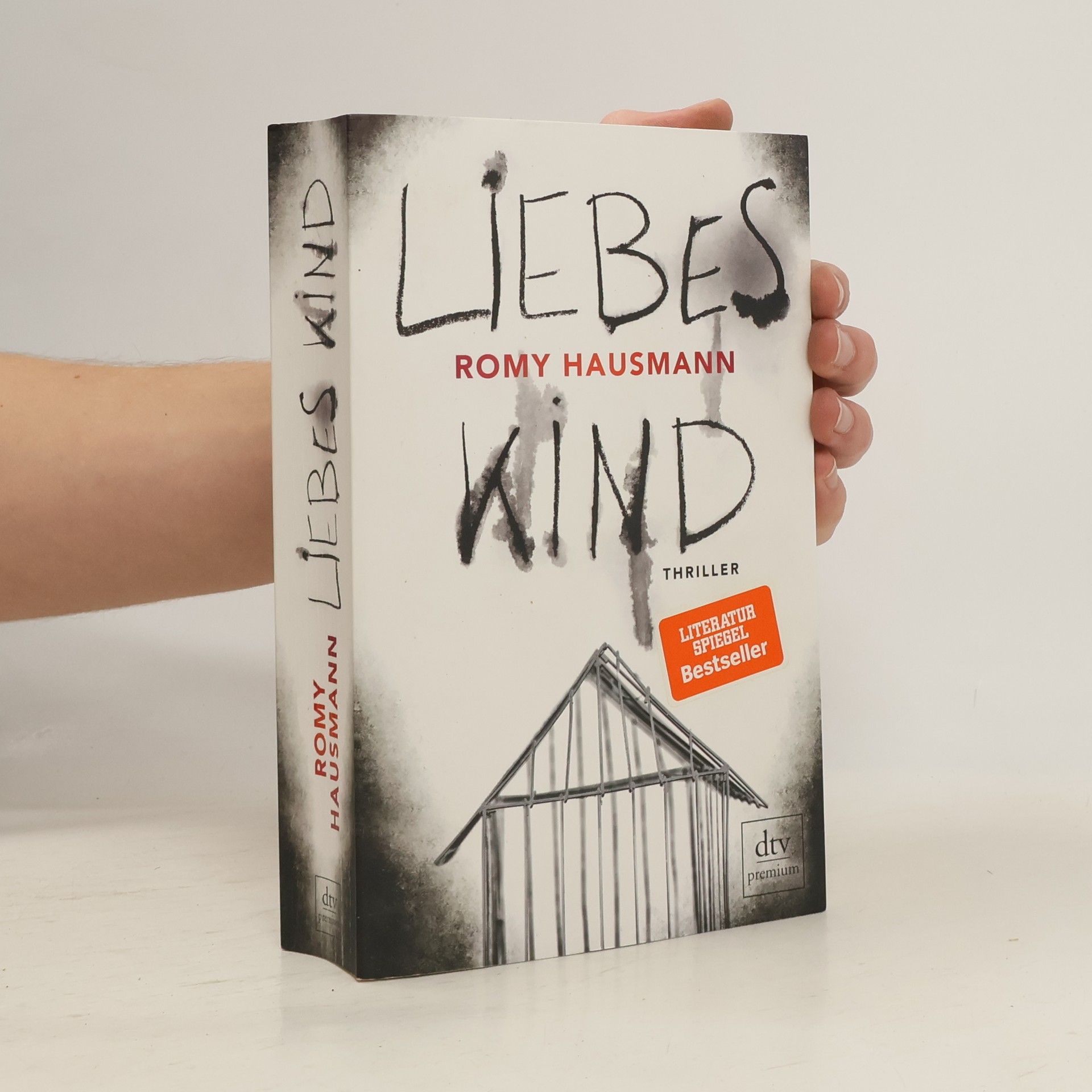 Romy Hausmann Liebes Kind