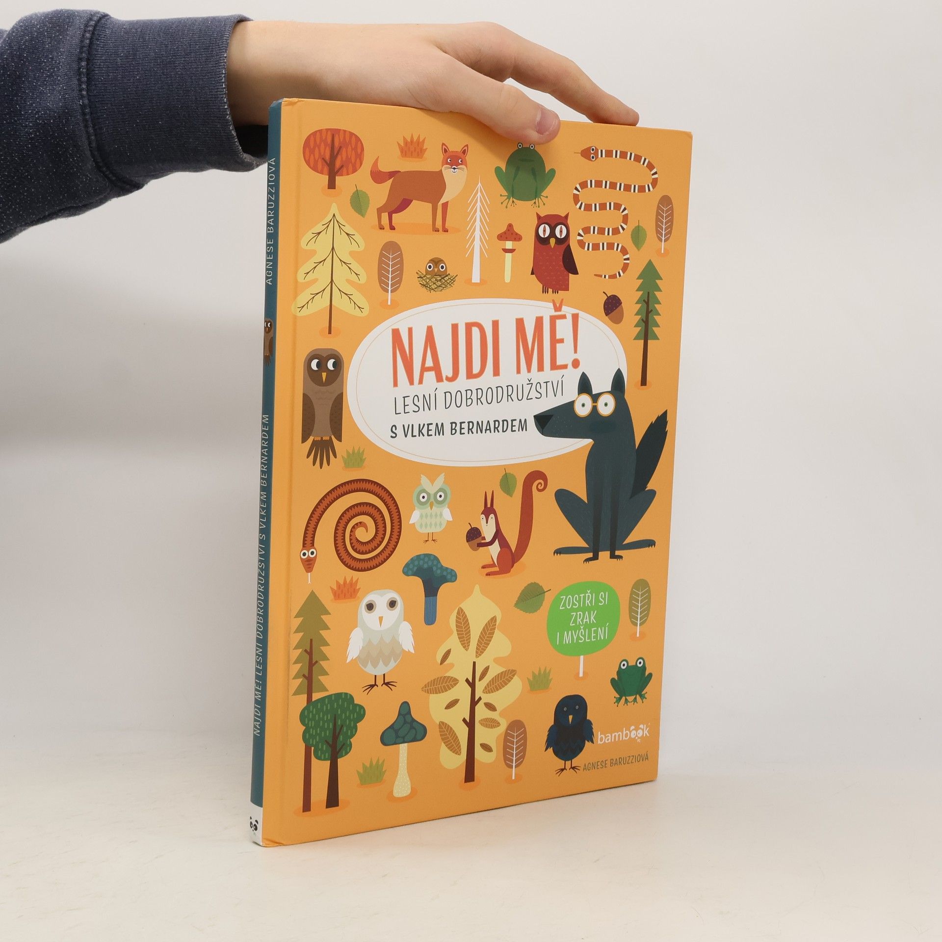 Agnese Baruzzi Najdi mě! Lesní dobrodružství s vlkem Bernardem
