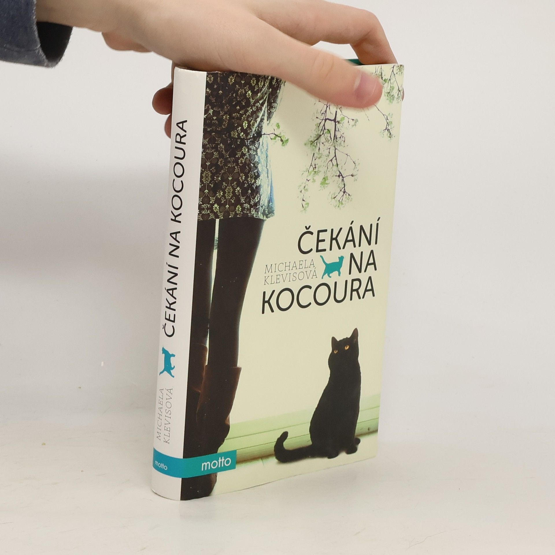 Michaela Klevisová Čekání na kocoura: Příběhy o kočkách a jejich lidech
