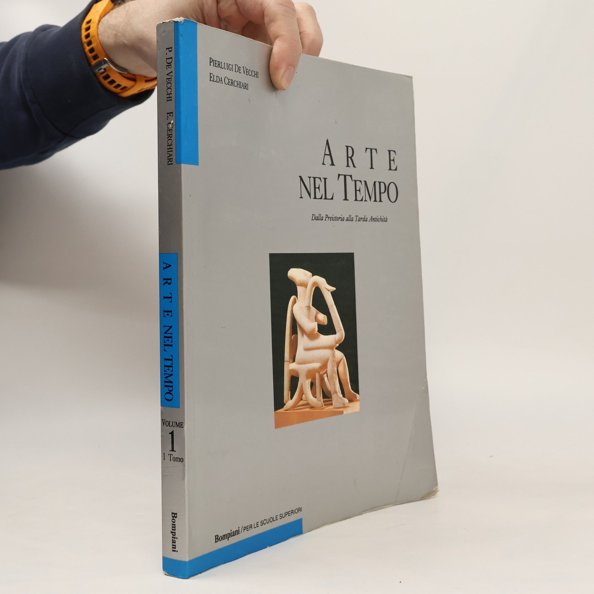 Pierluigi. Maler De Vecchi Arte nel tempo