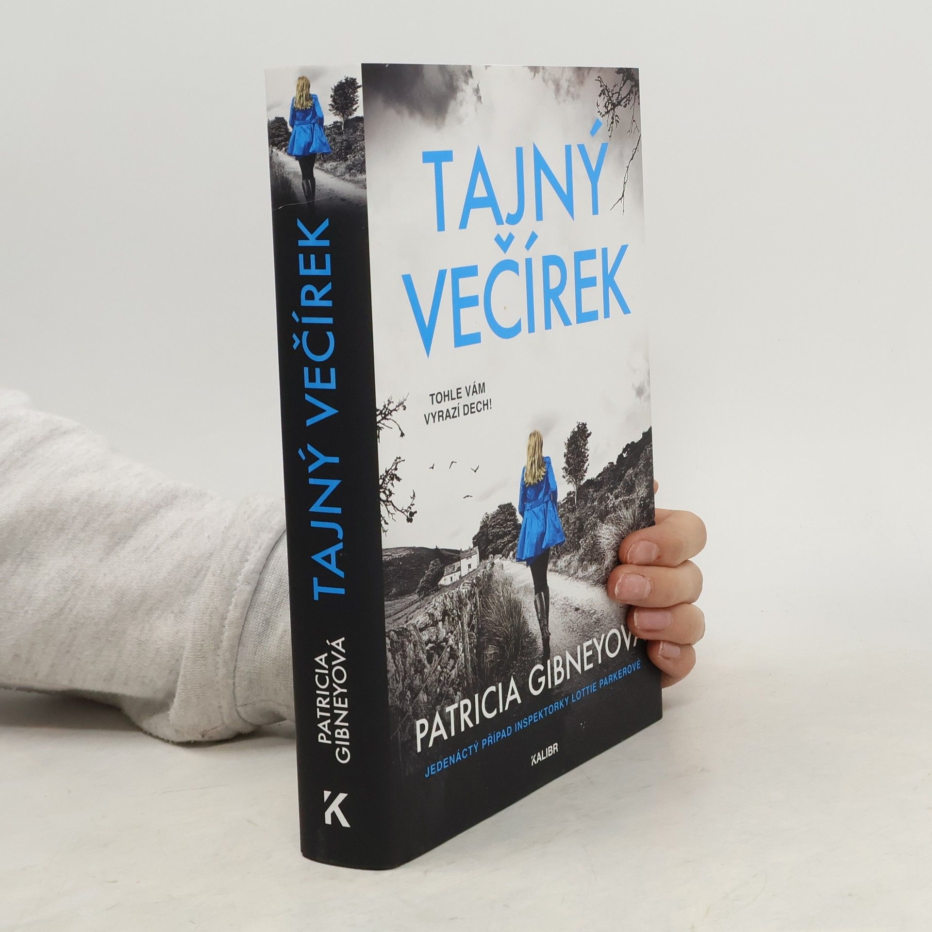 Patricia Gibney Tajný večírek