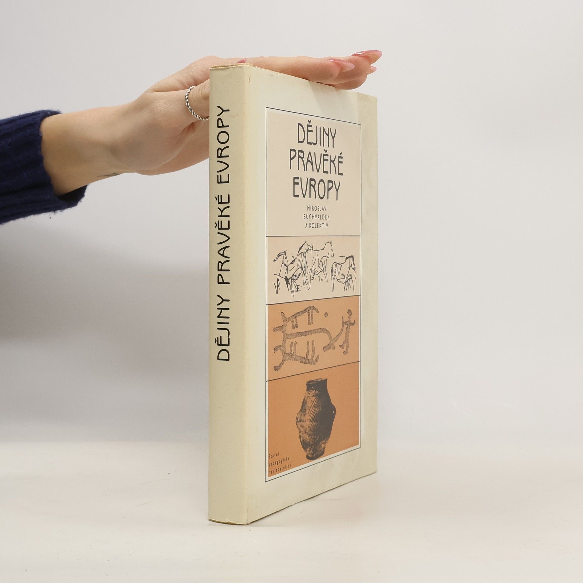 Miroslav Buchvaldek Dějiny pravěké Evropy