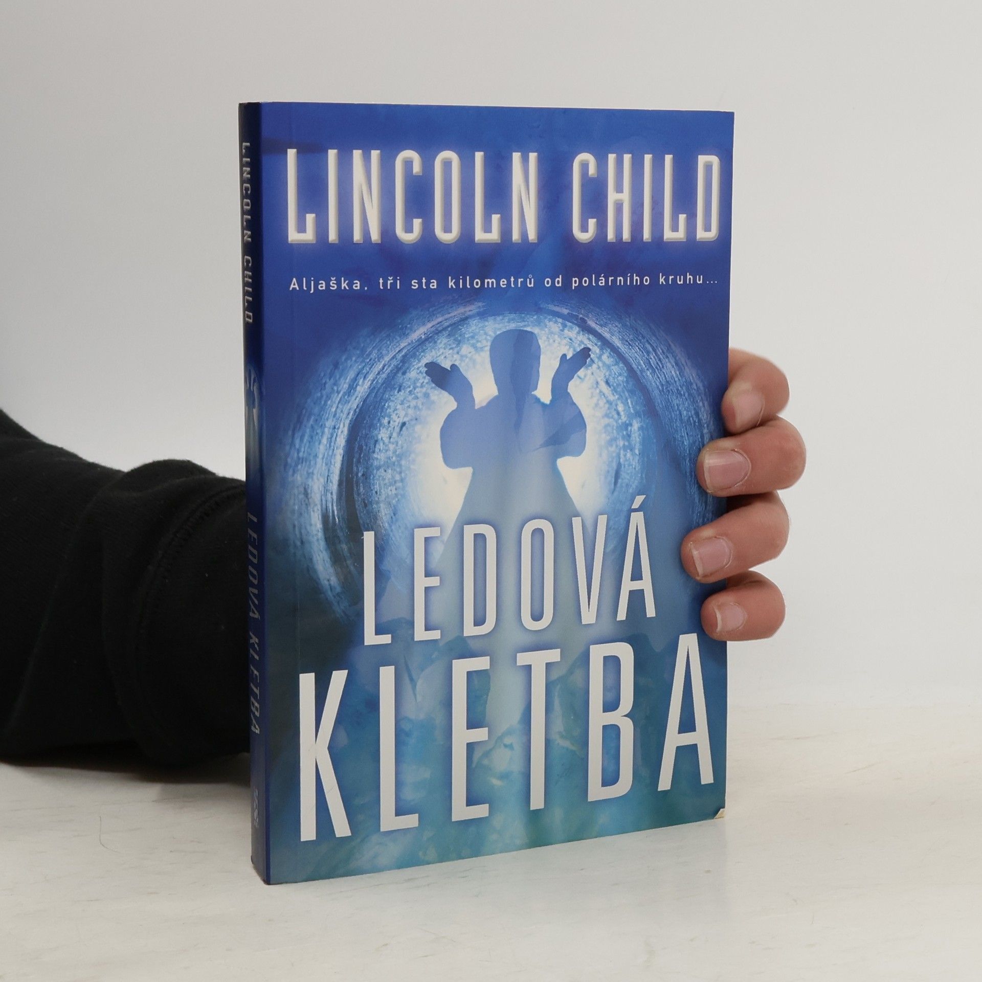 Lincoln Child Ledová kletba