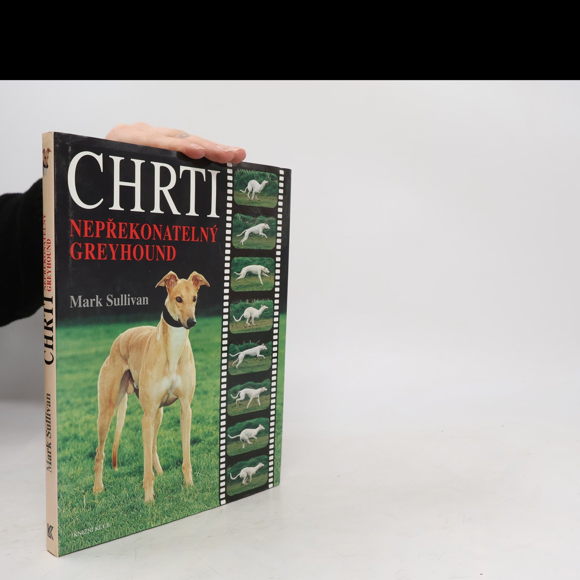 Mark Sullivan Chrti - Nepřekonatelný Greyhound