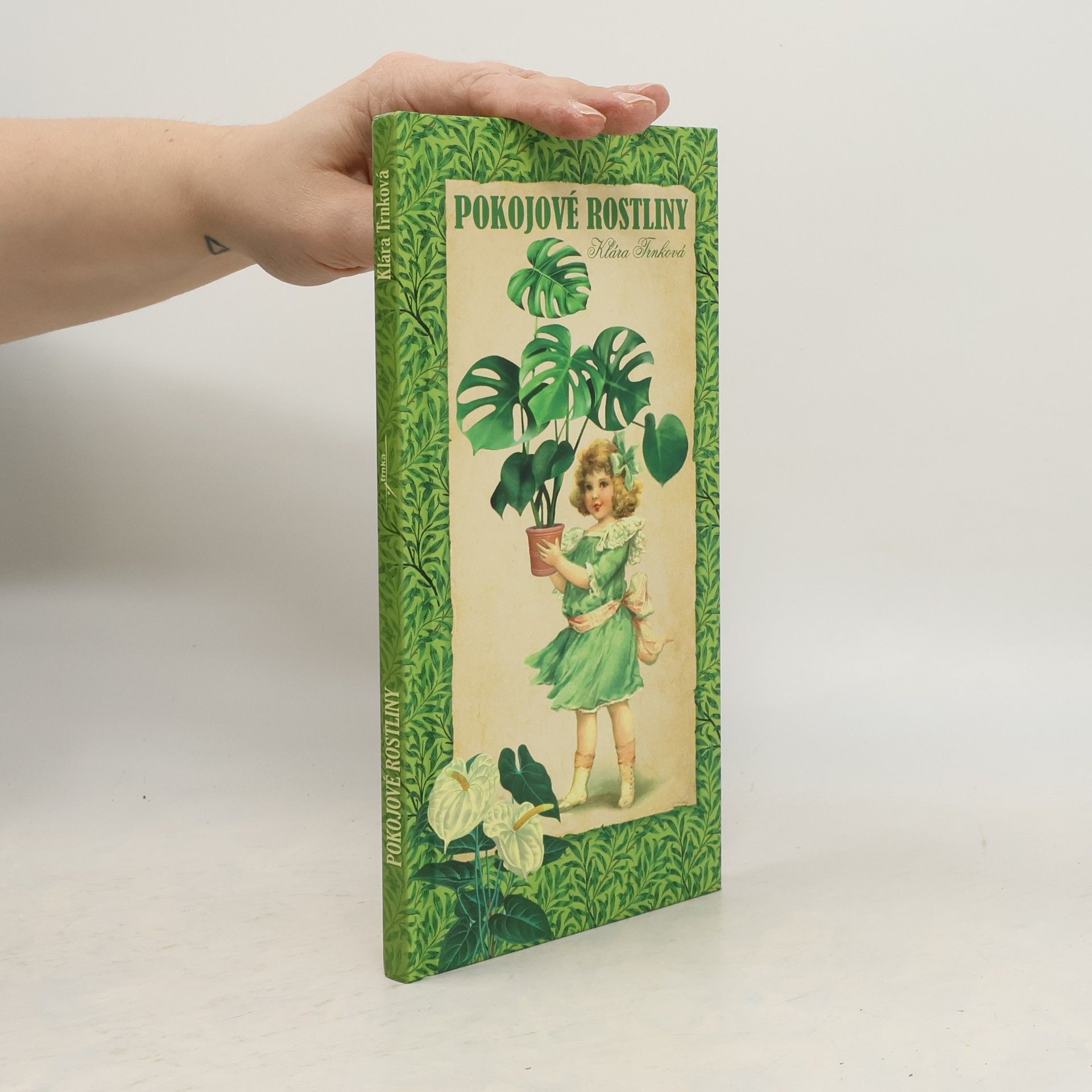Klára Trnková Pokojové rostliny