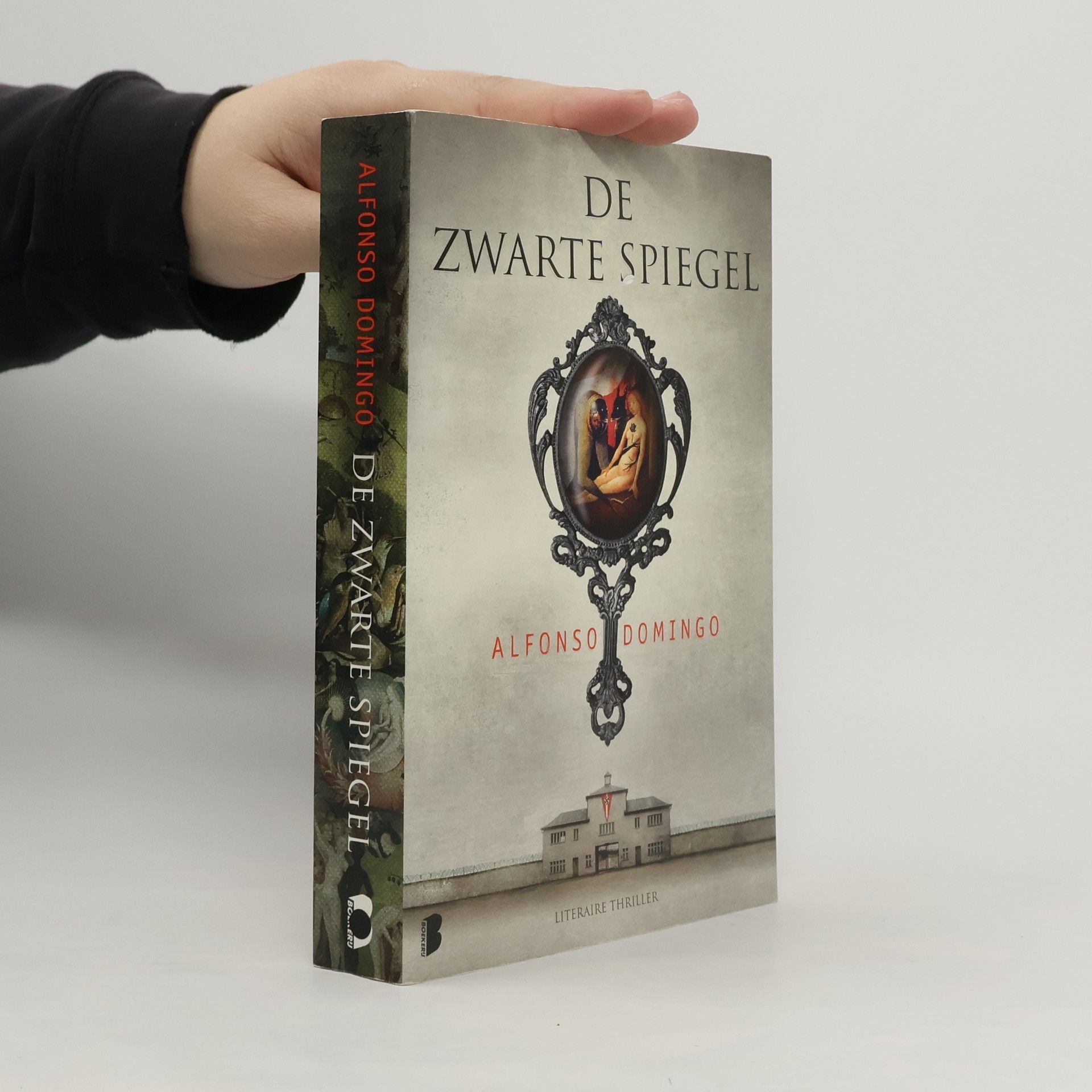 Alfonso Domingo Álvaro De zwarte spiegel