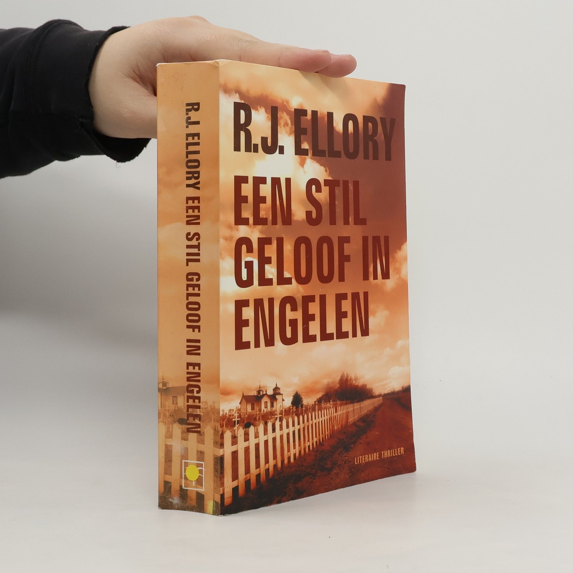 R. J. Ellory Een stil geloof in engelen