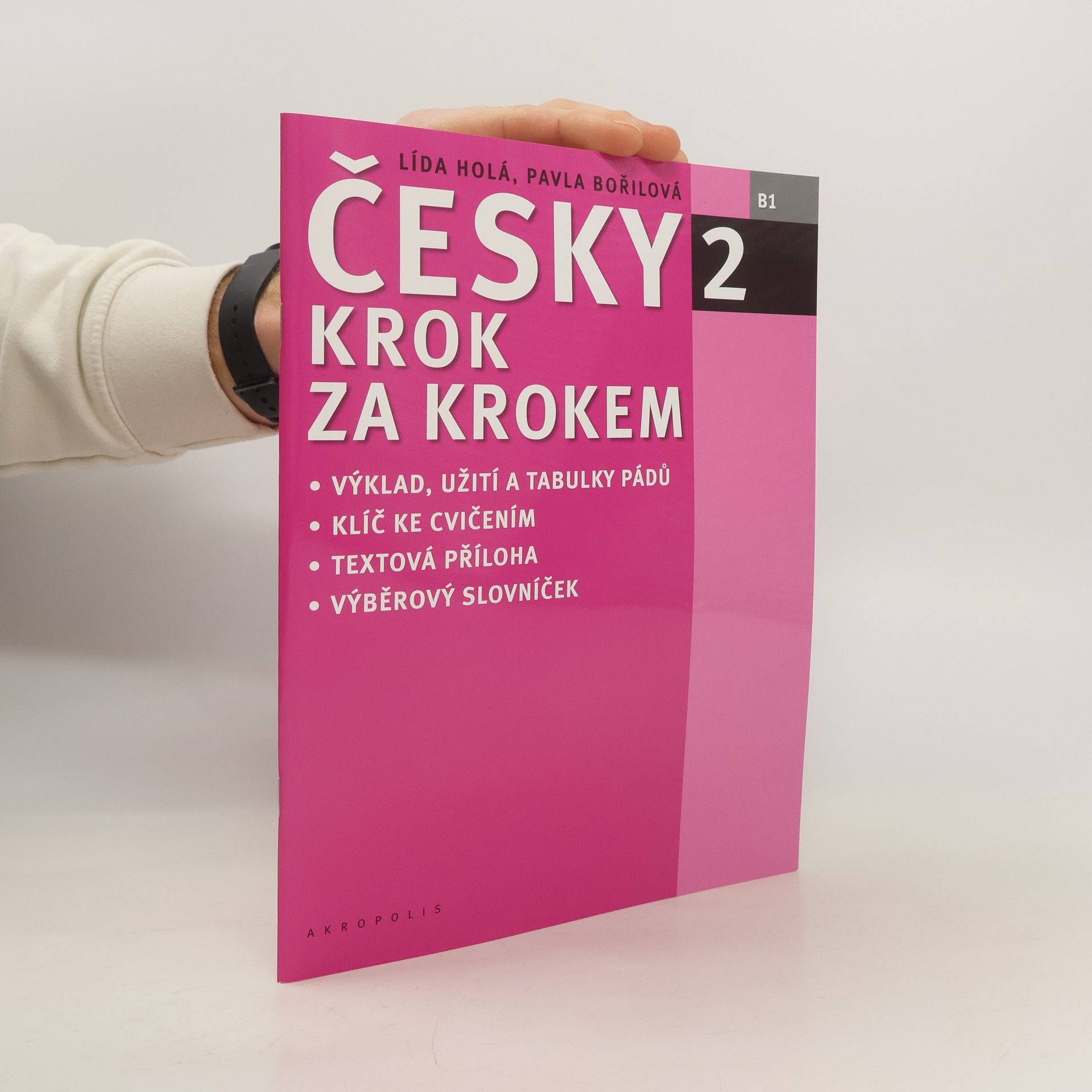 Lída Holá Česky krok za krokem 2. B1 (Příloha)