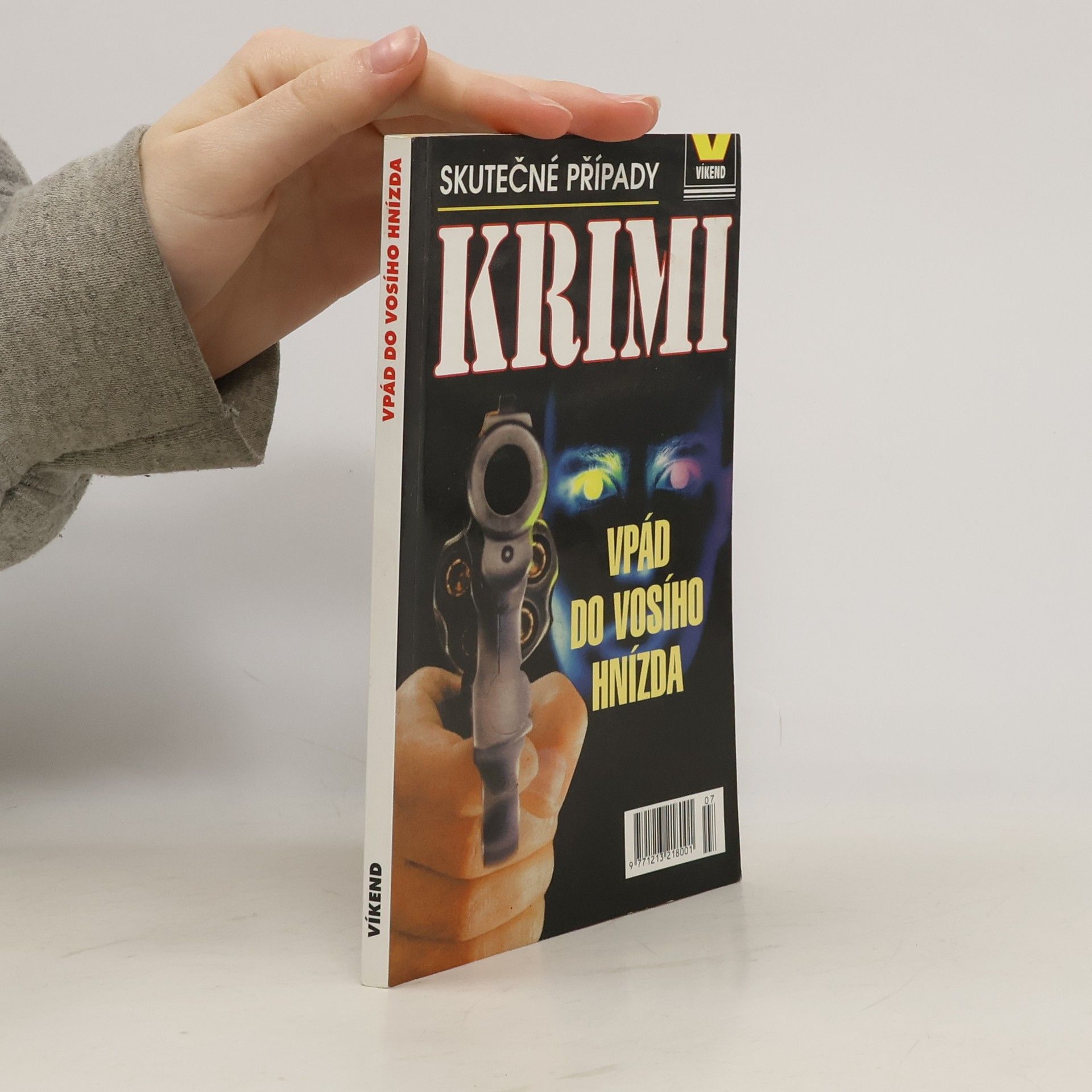 Jiří Bílek Vpád do vosího hnízda